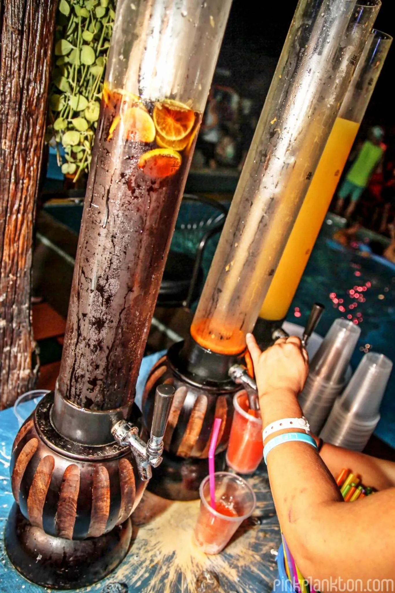 Property building in Phangan Arena Hostel