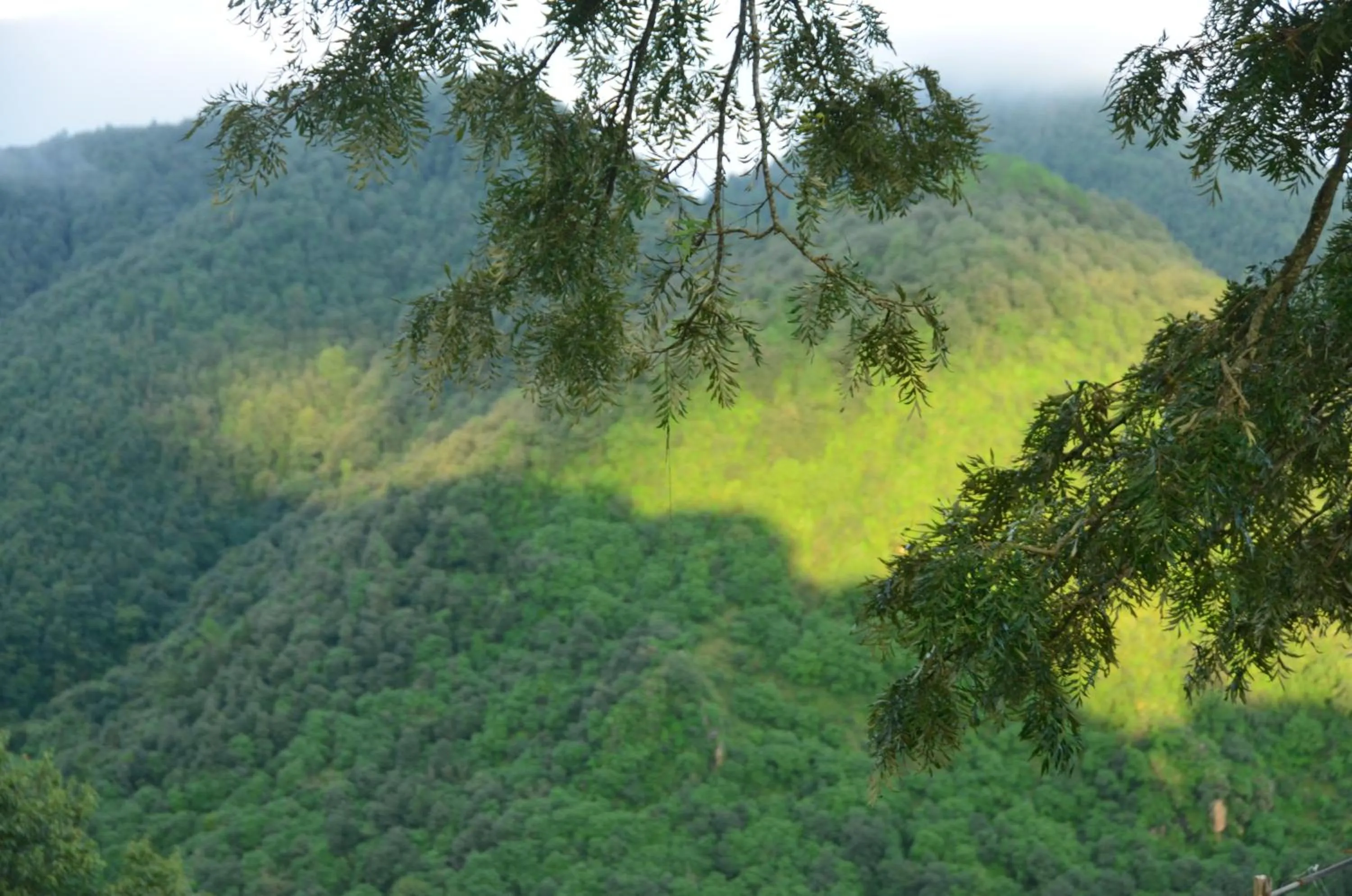 Natural landscape in The Oasis Mussoorie - A Member of Radisson Individuals