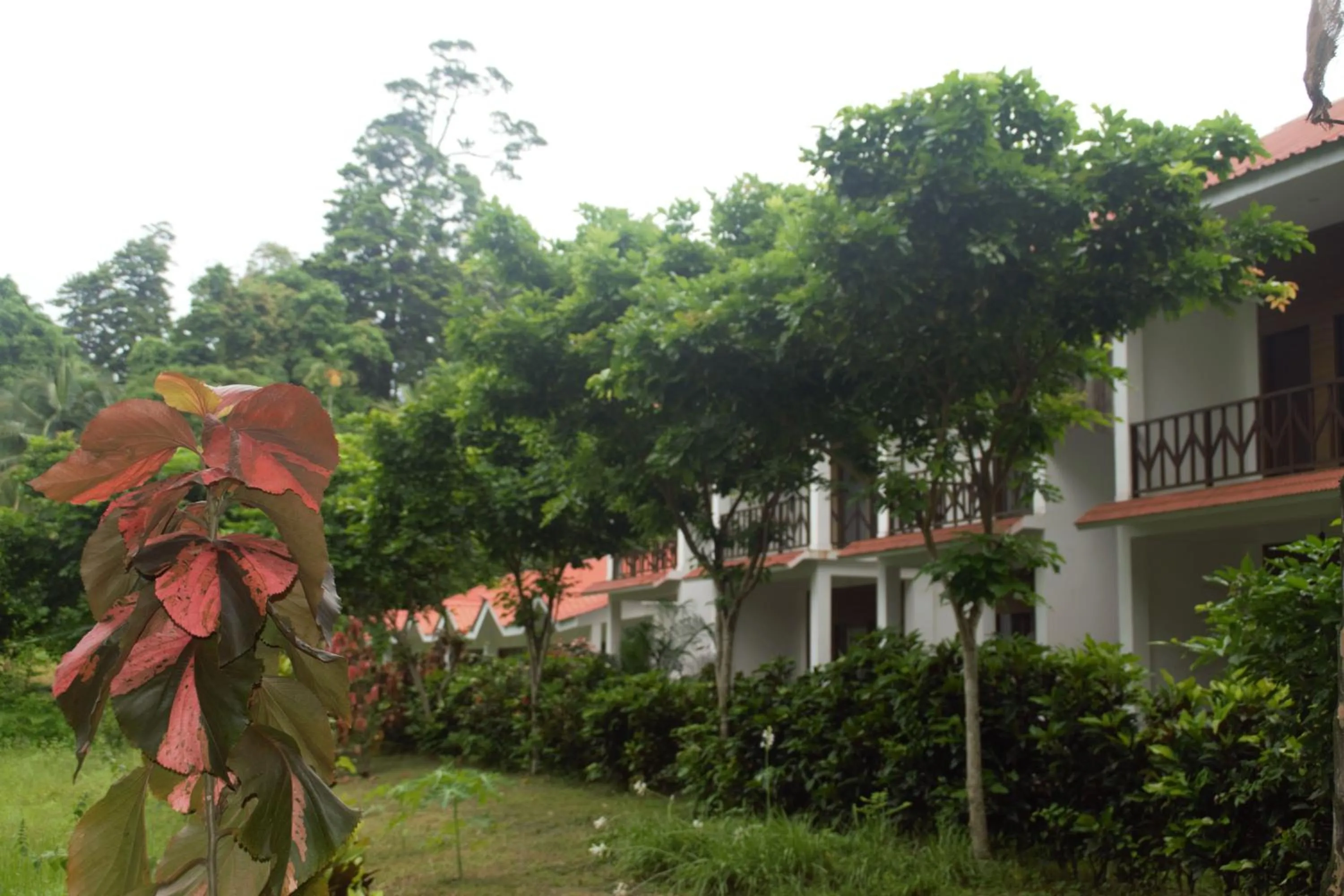 Hotel Exotica Squares