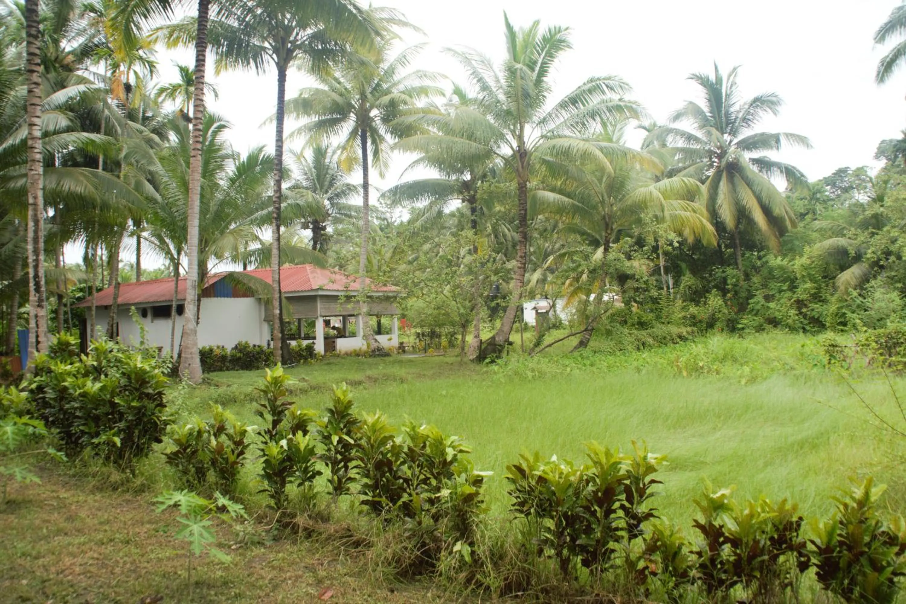 Hotel Exotica Squares