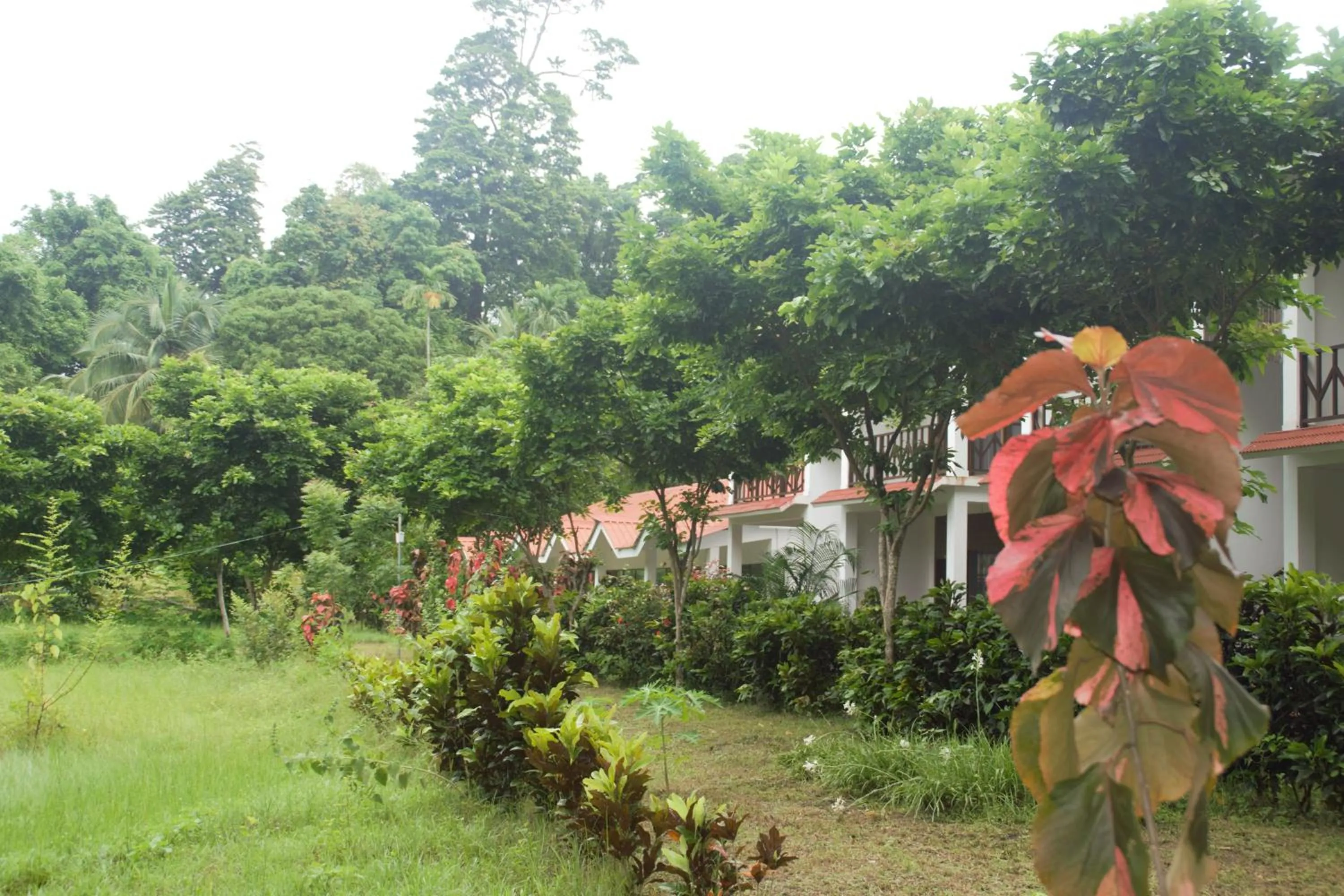 Hotel Exotica Squares