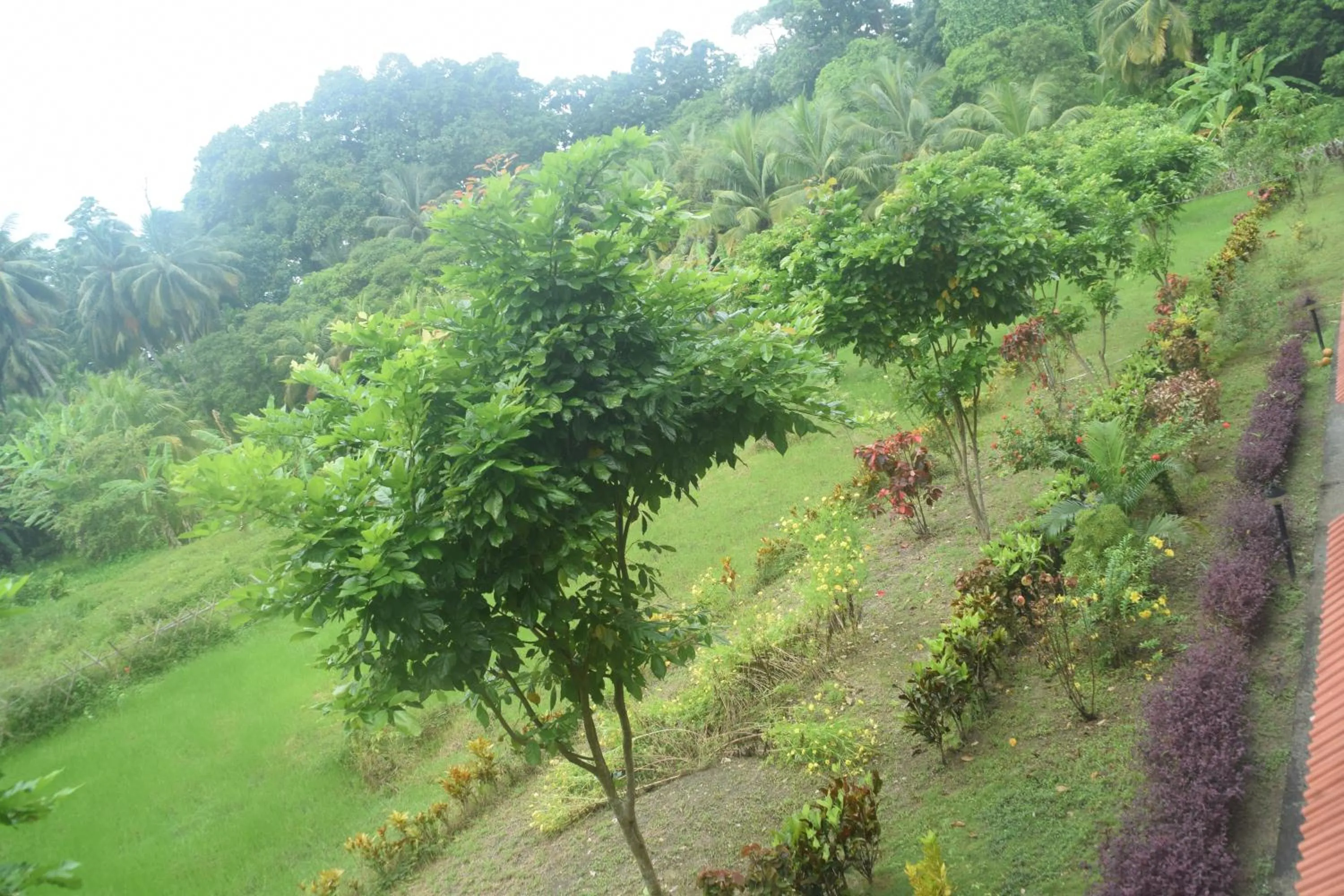 Day in Hotel Exotica Squares