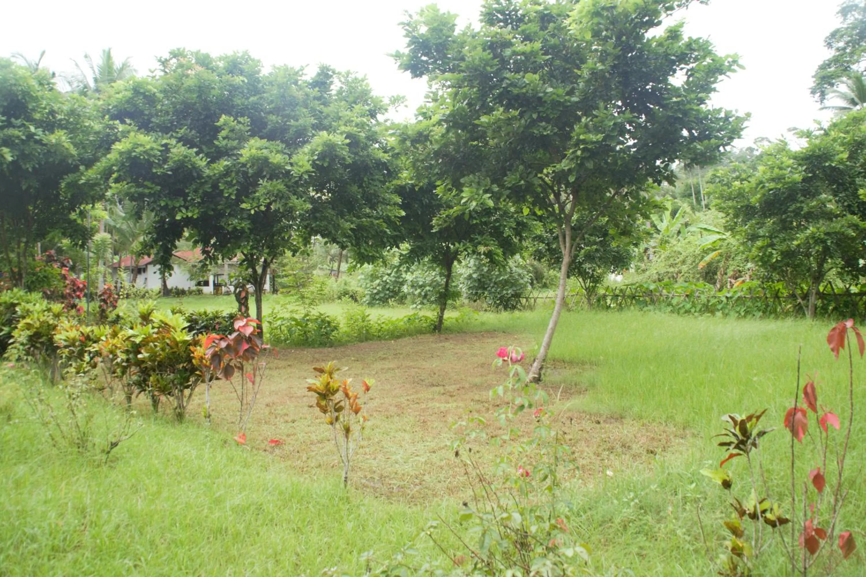 Hotel Exotica Squares