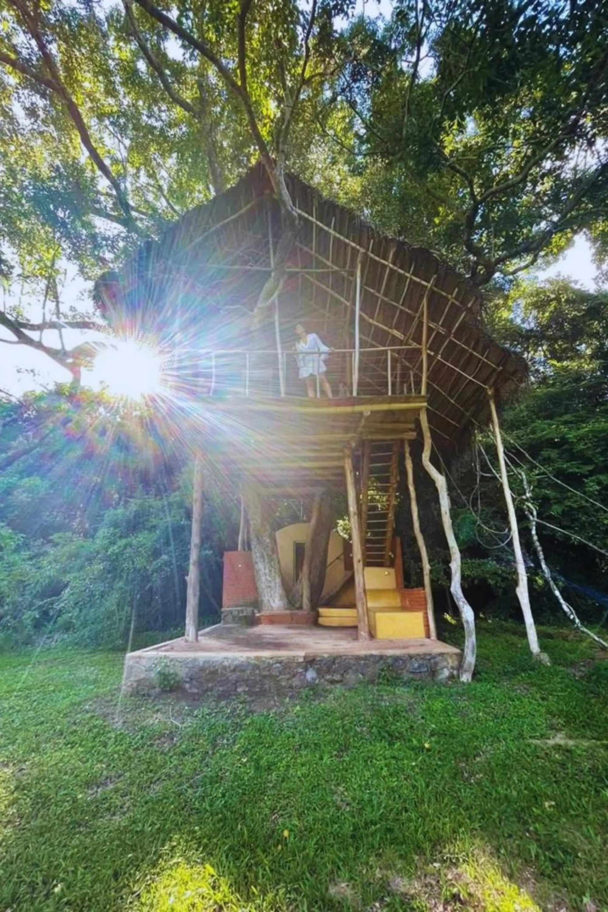 Property building in Back of Beyond - Wild Haven