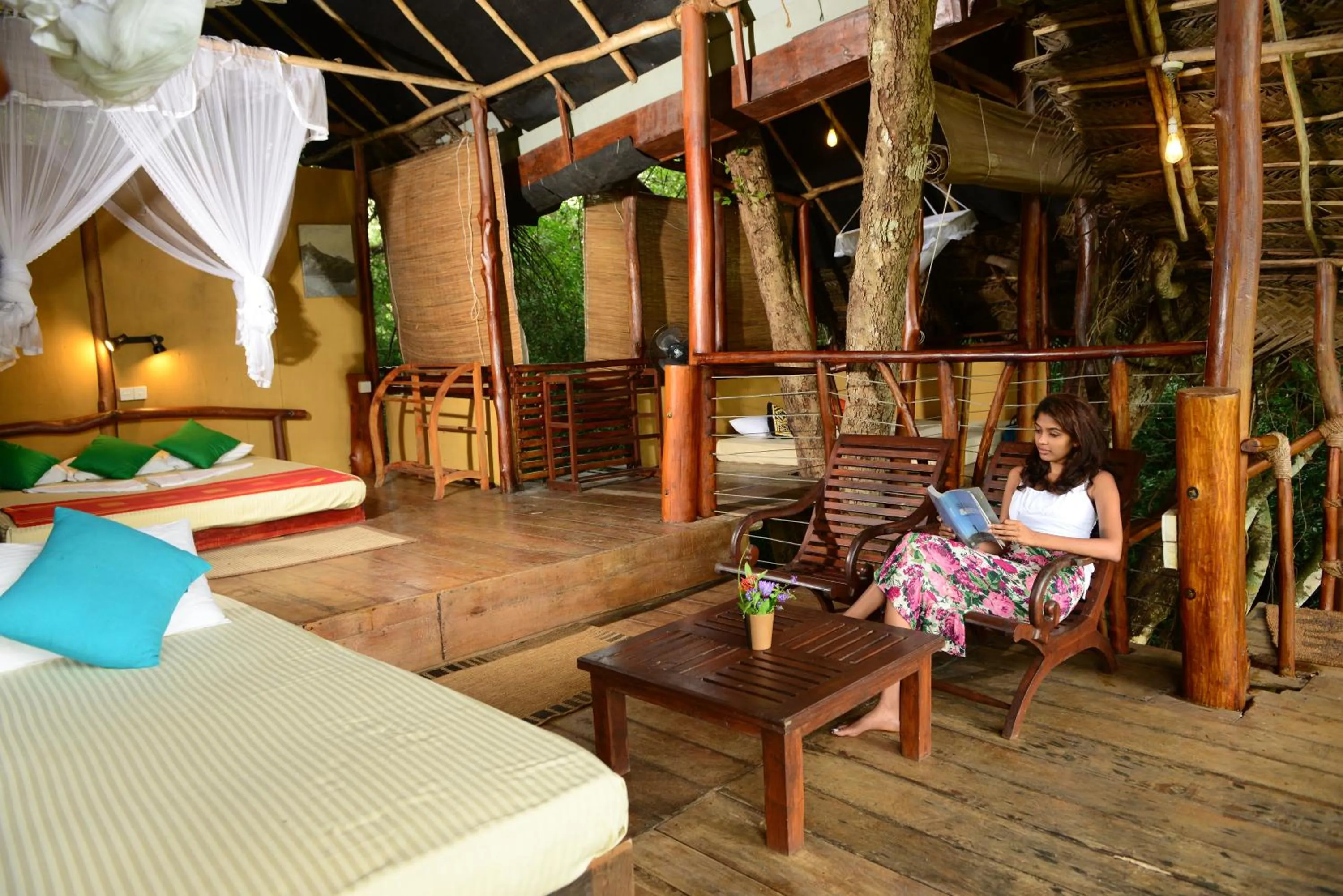 Photo of the whole room in Back of Beyond - Wild Haven