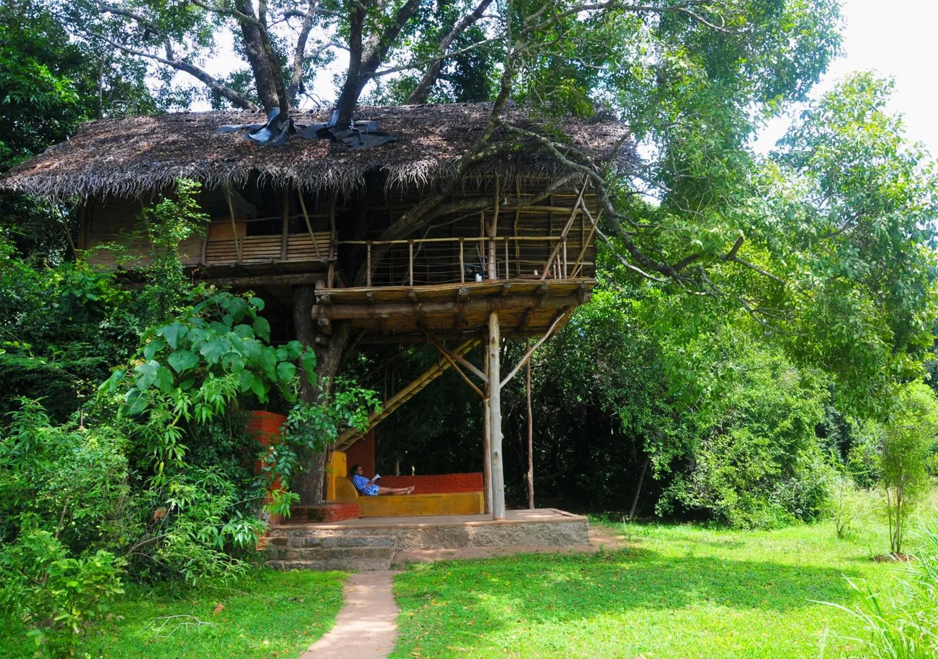 Property building in Back of Beyond - Wild Haven