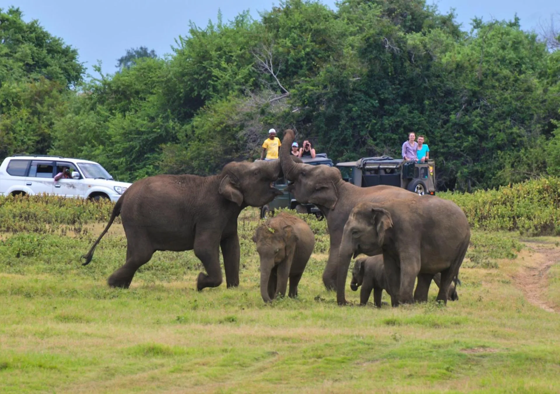 Activities in Back of Beyond - Wild Haven