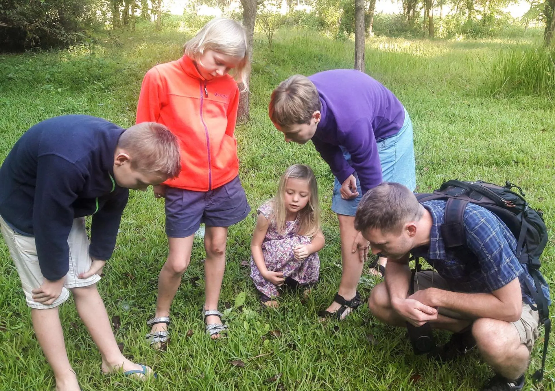 Garden in Back of Beyond - Wild Haven
