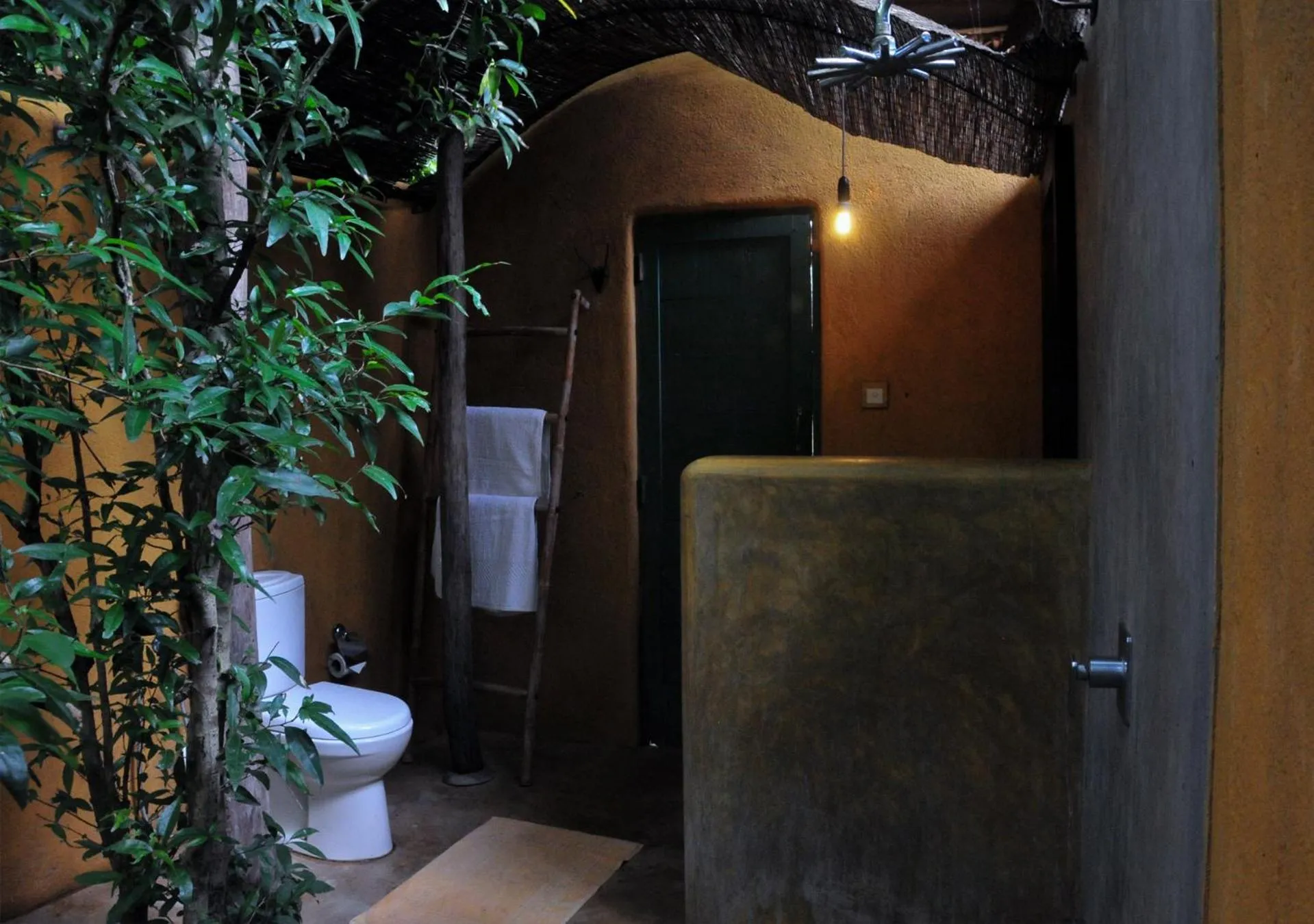 Bathroom in Back of Beyond - Wild Haven