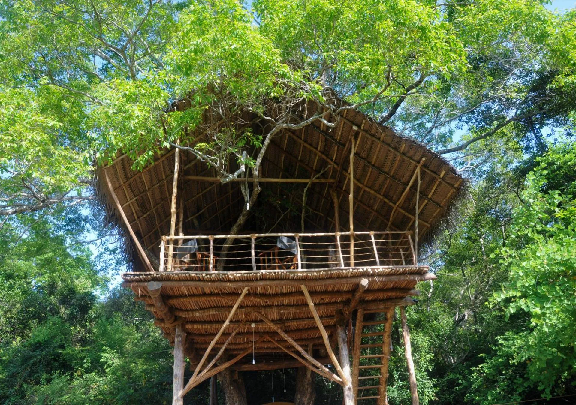Balcony/Terrace in Back of Beyond - Wild Haven