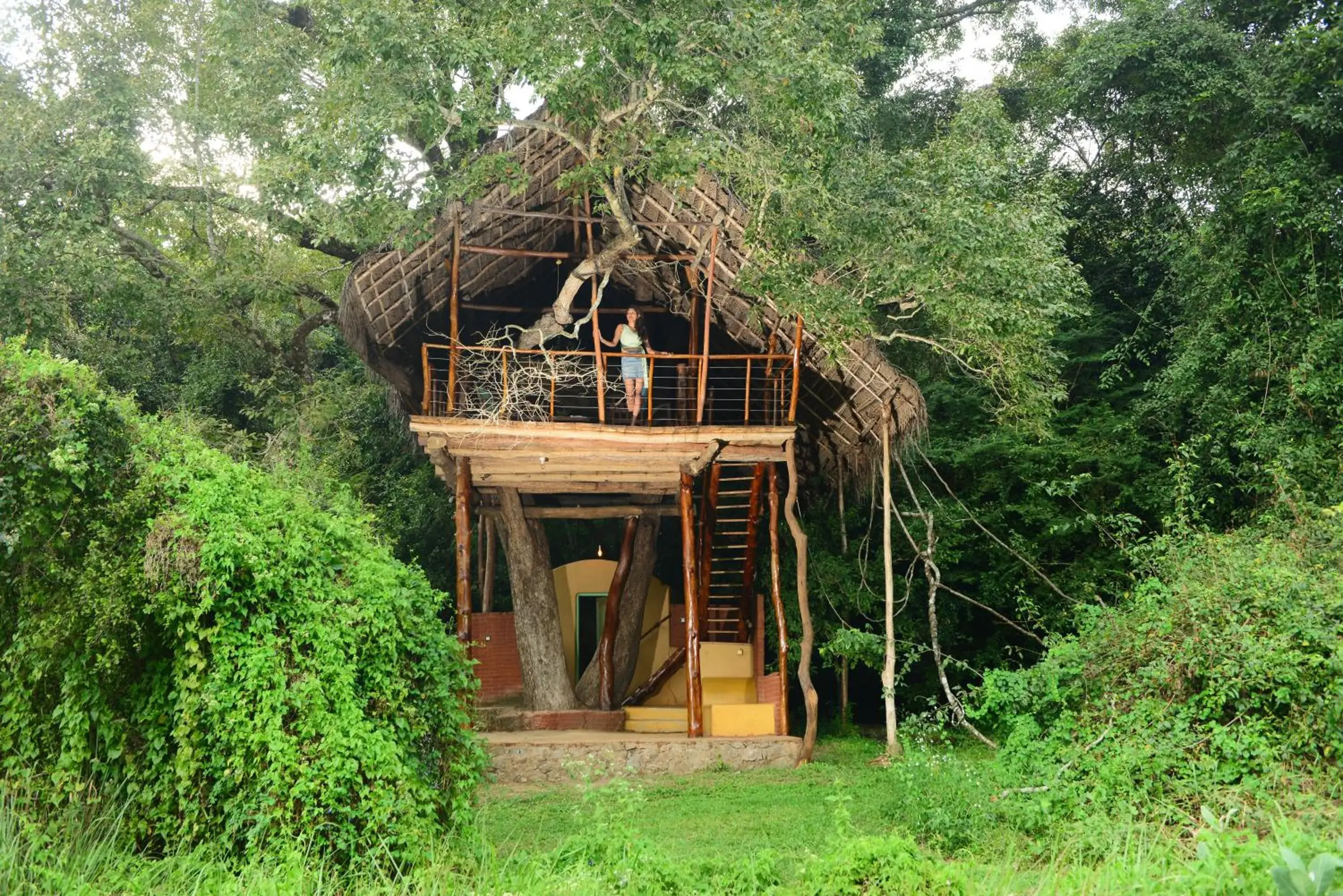 Deluxe Tree House - single occupancy in Back of Beyond - Wild Haven Deluxe Tree House - single occupancy in Back of Beyond - Wild Haven