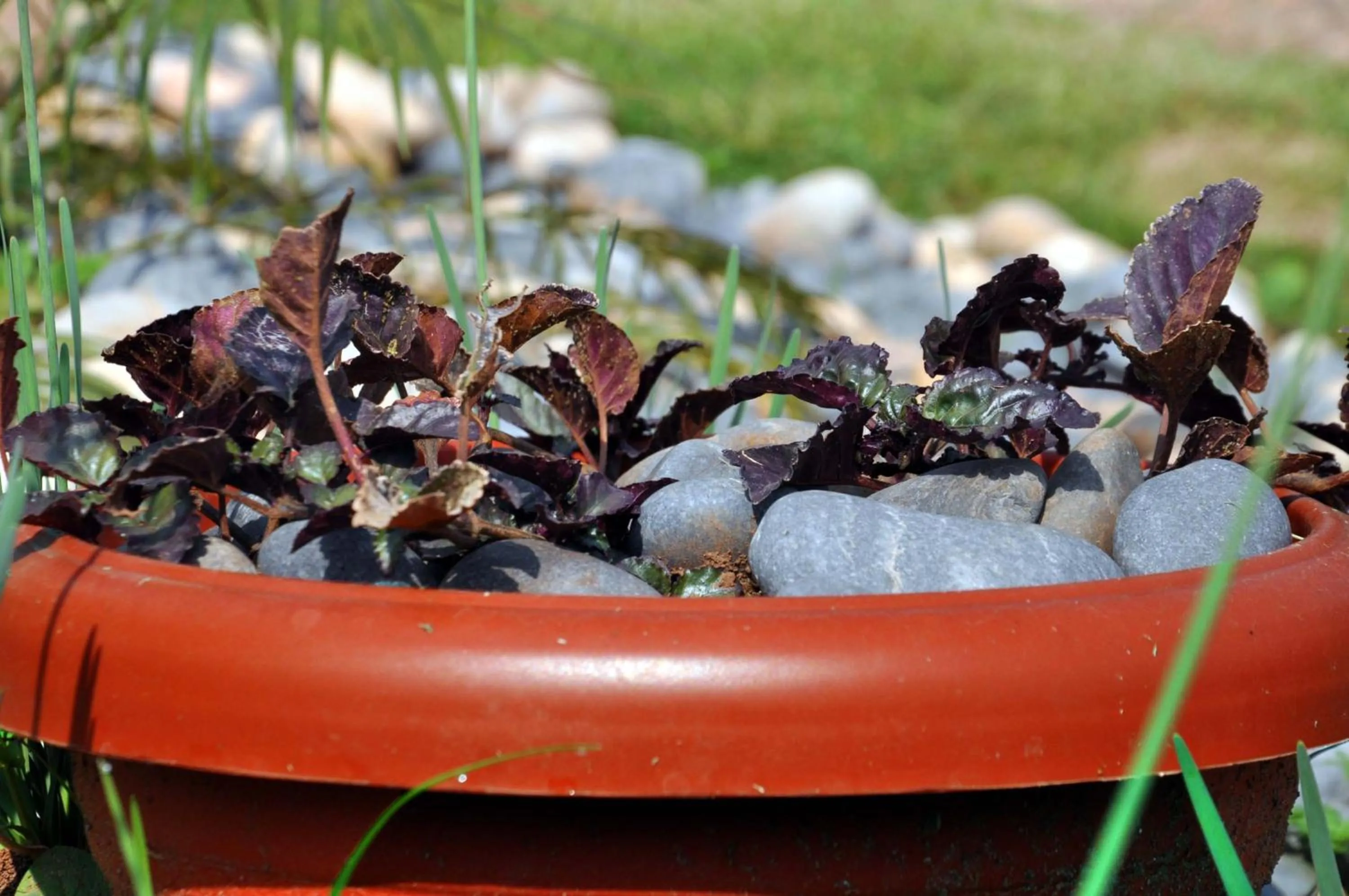 Day in Riverside Resort Hotel Kabale