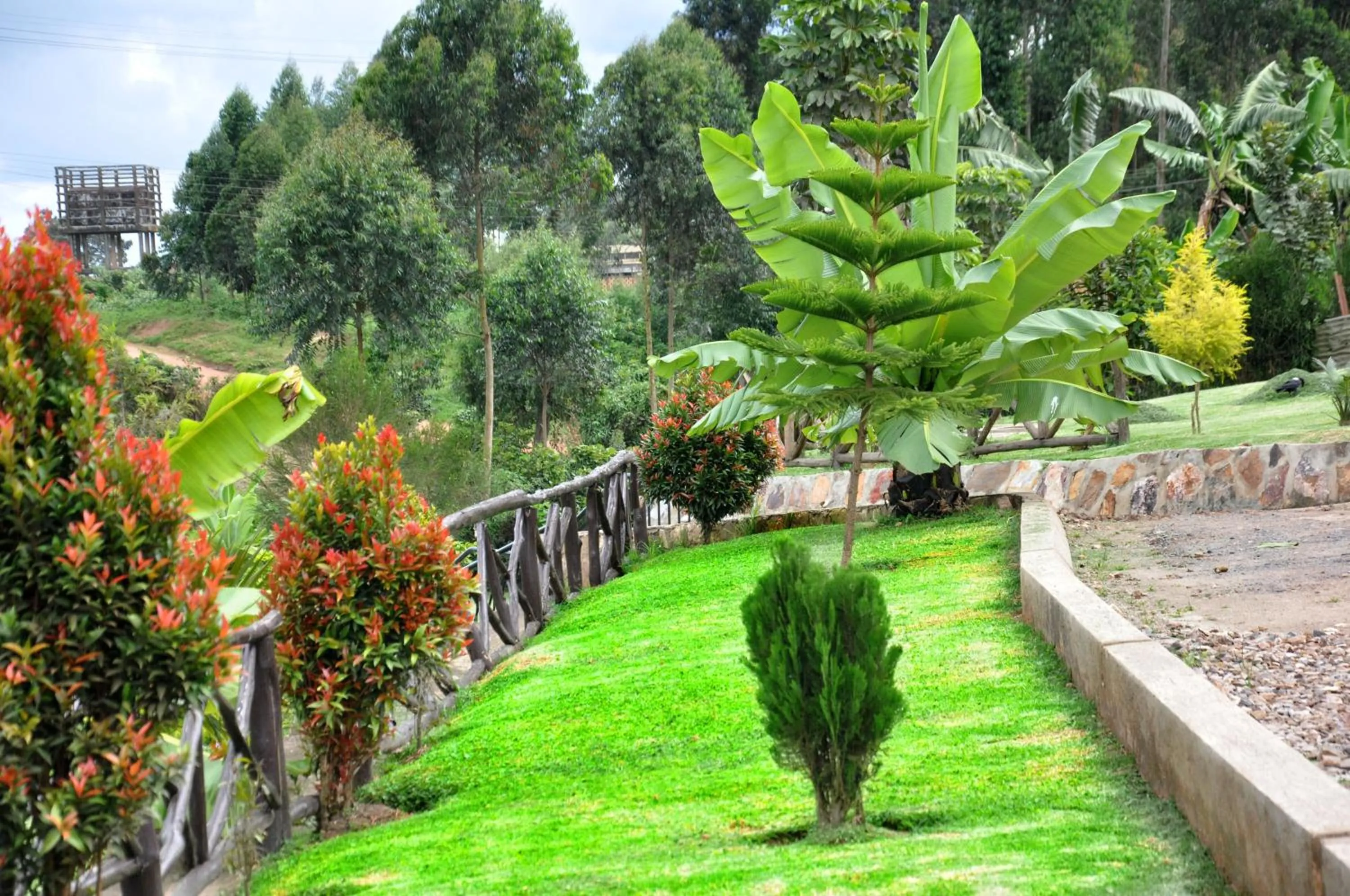 Natural landscape in Riverside Resort Hotel Kabale