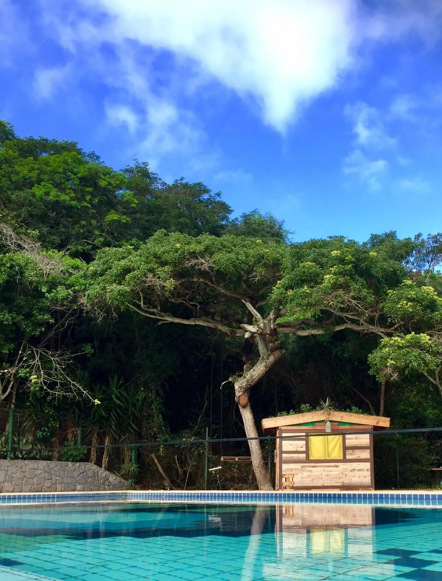 Garden in The Eco Palace Hostel