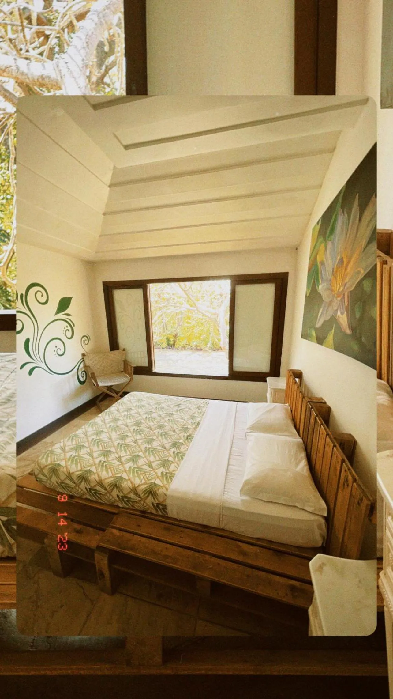 Bed in The Eco Palace Hostel