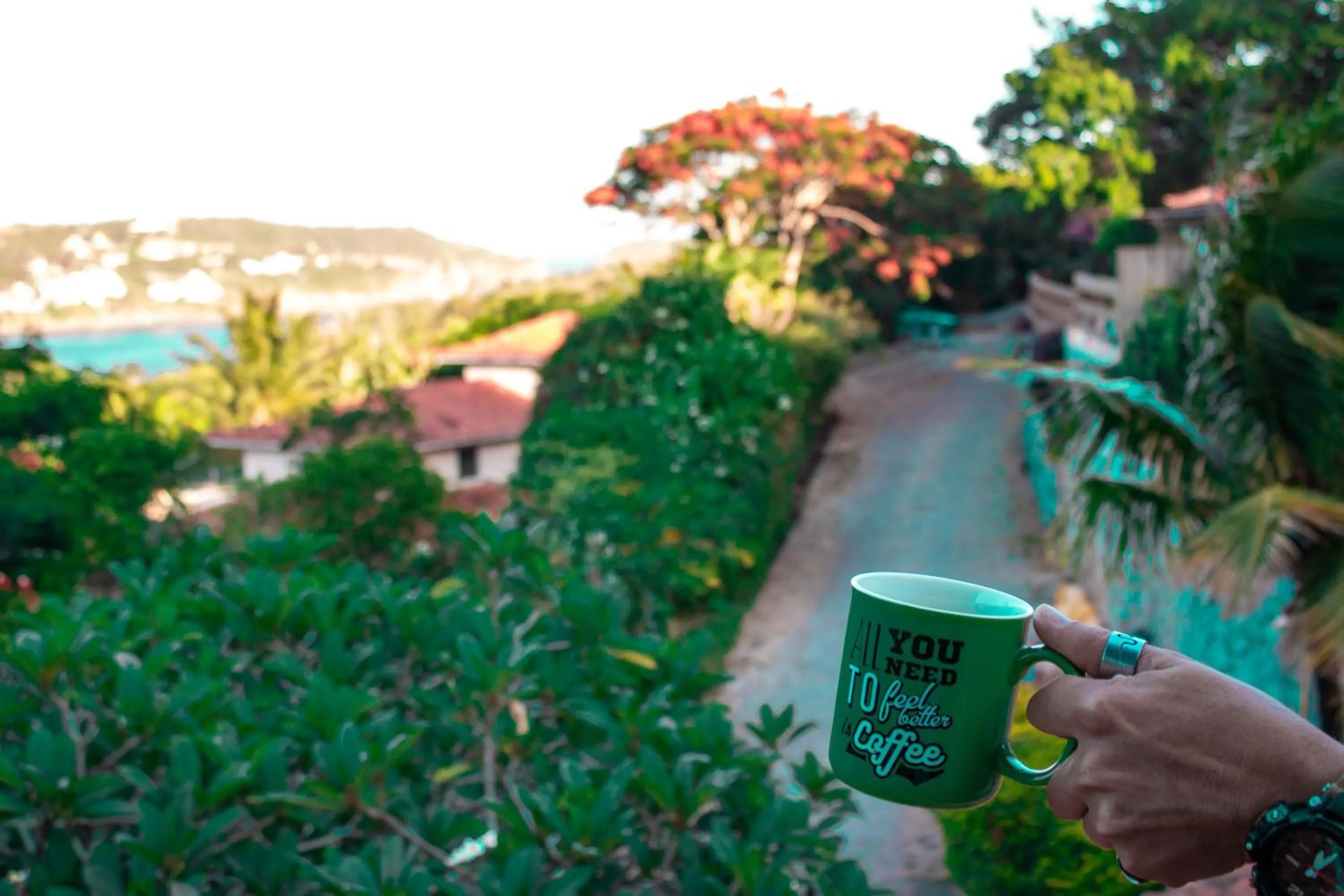 Sea view in The Eco Palace Hostel