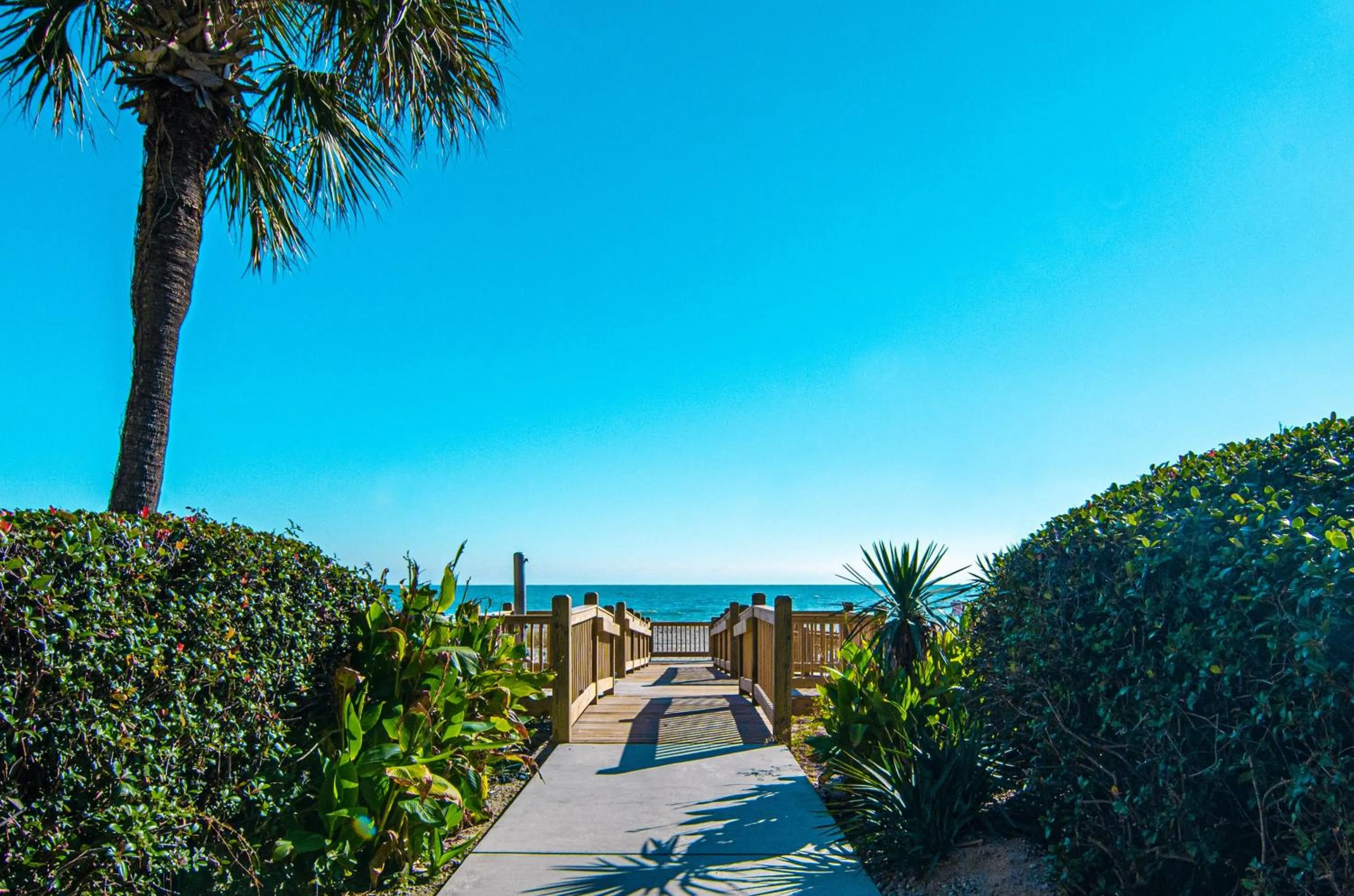 View (from property/room) in Palms Resort