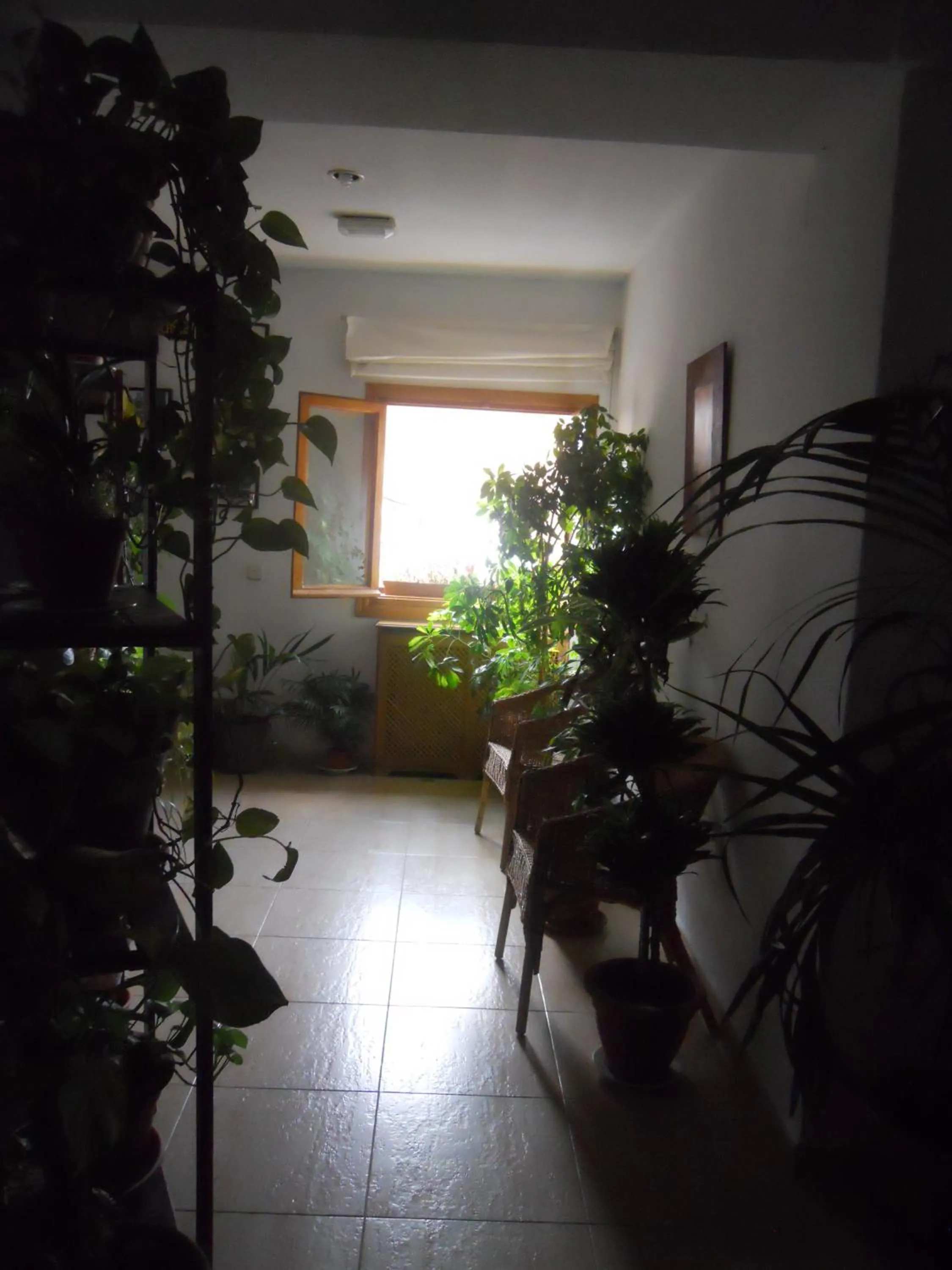 Other in Hostal El Descanso