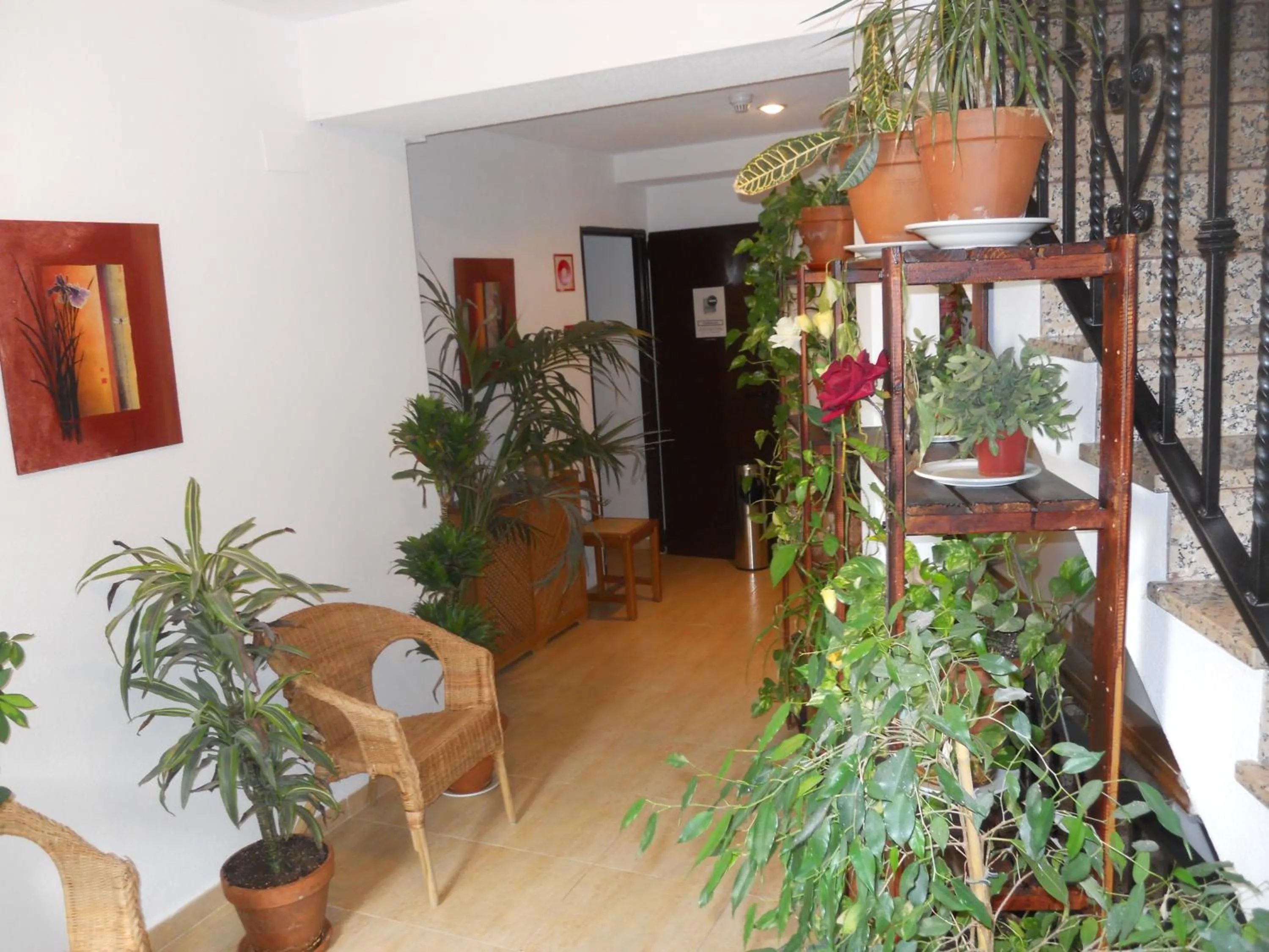 Other in Hostal El Descanso