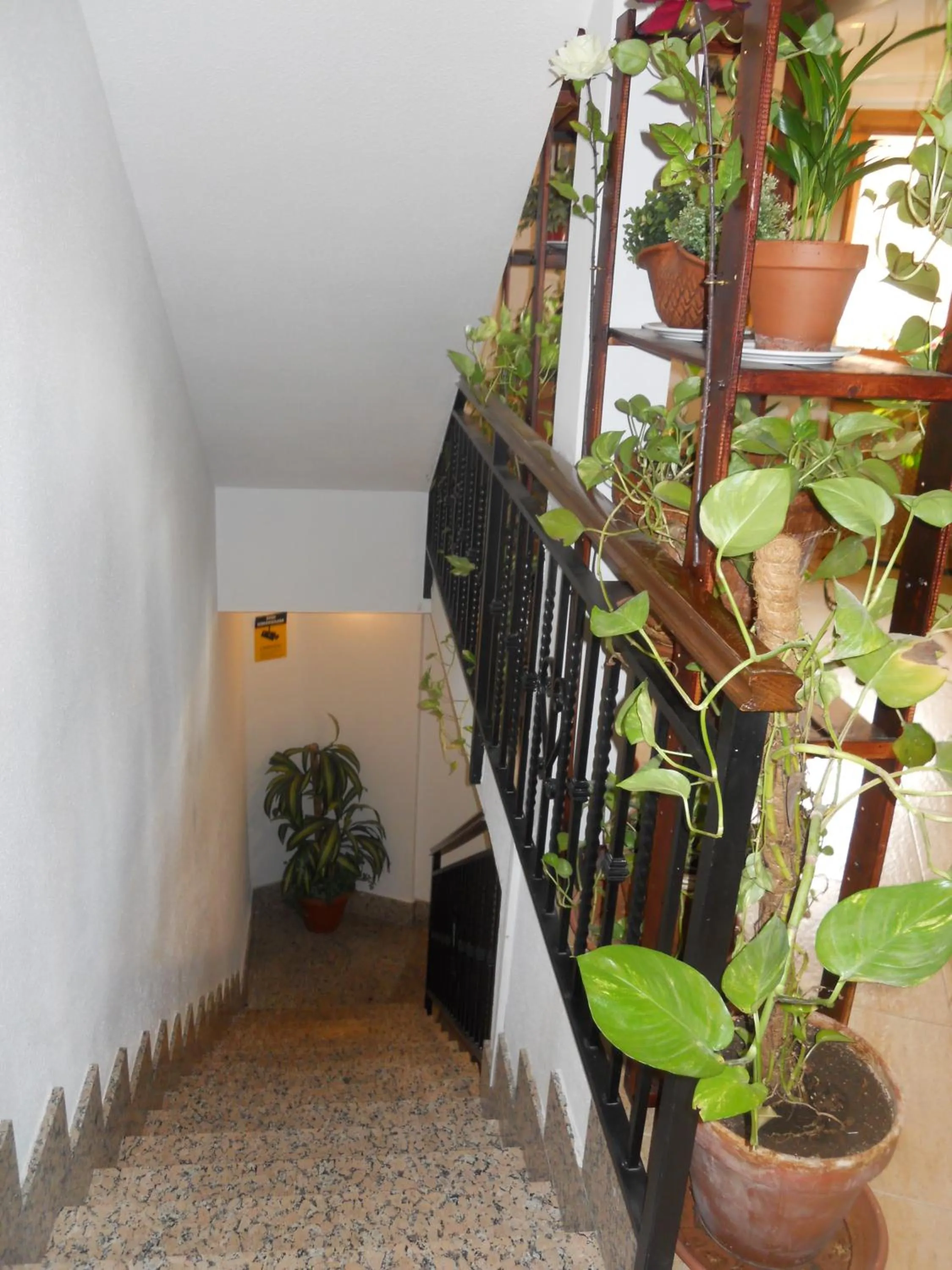 Other in Hostal El Descanso