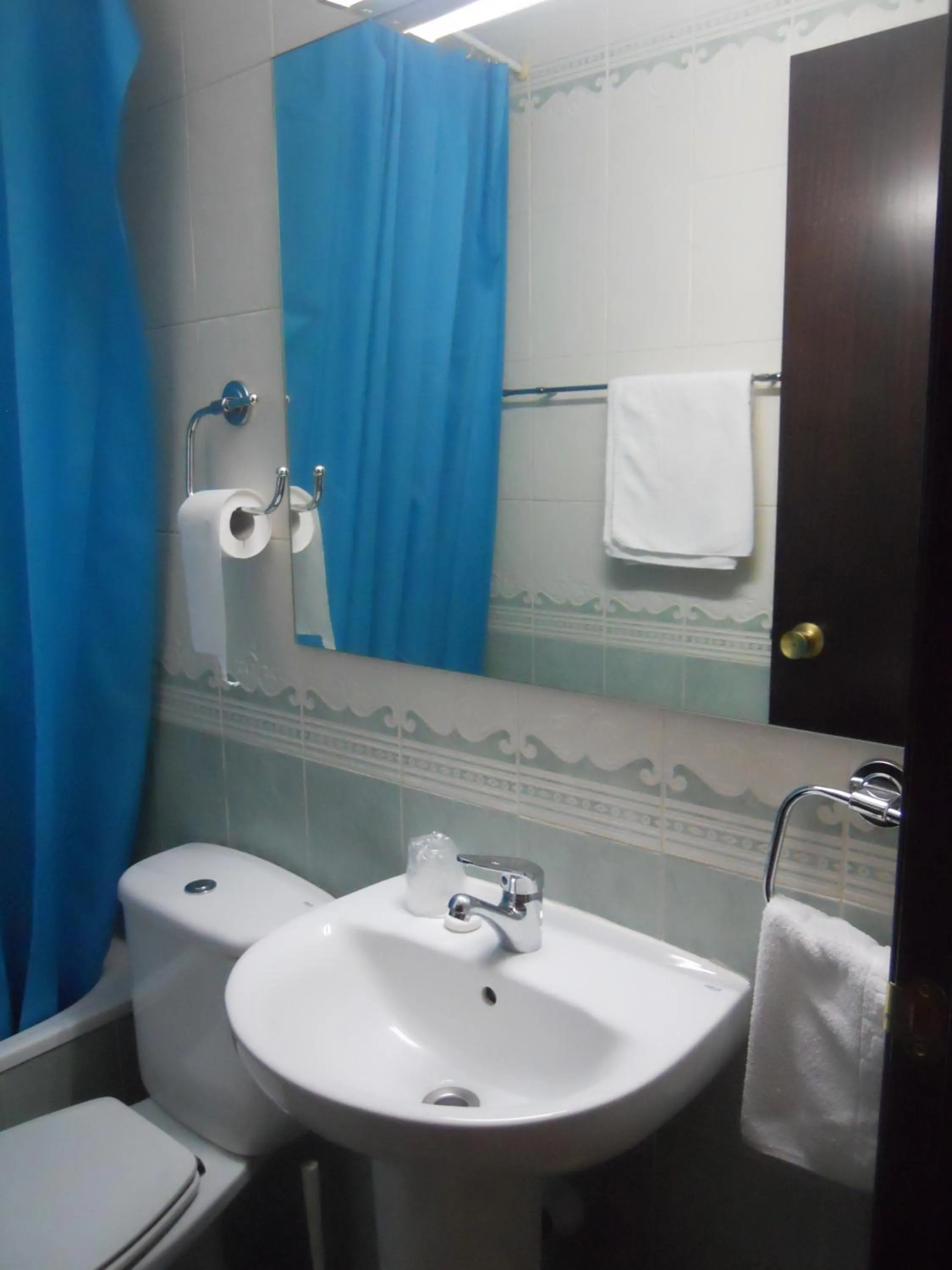 Toilet in Hostal El Descanso