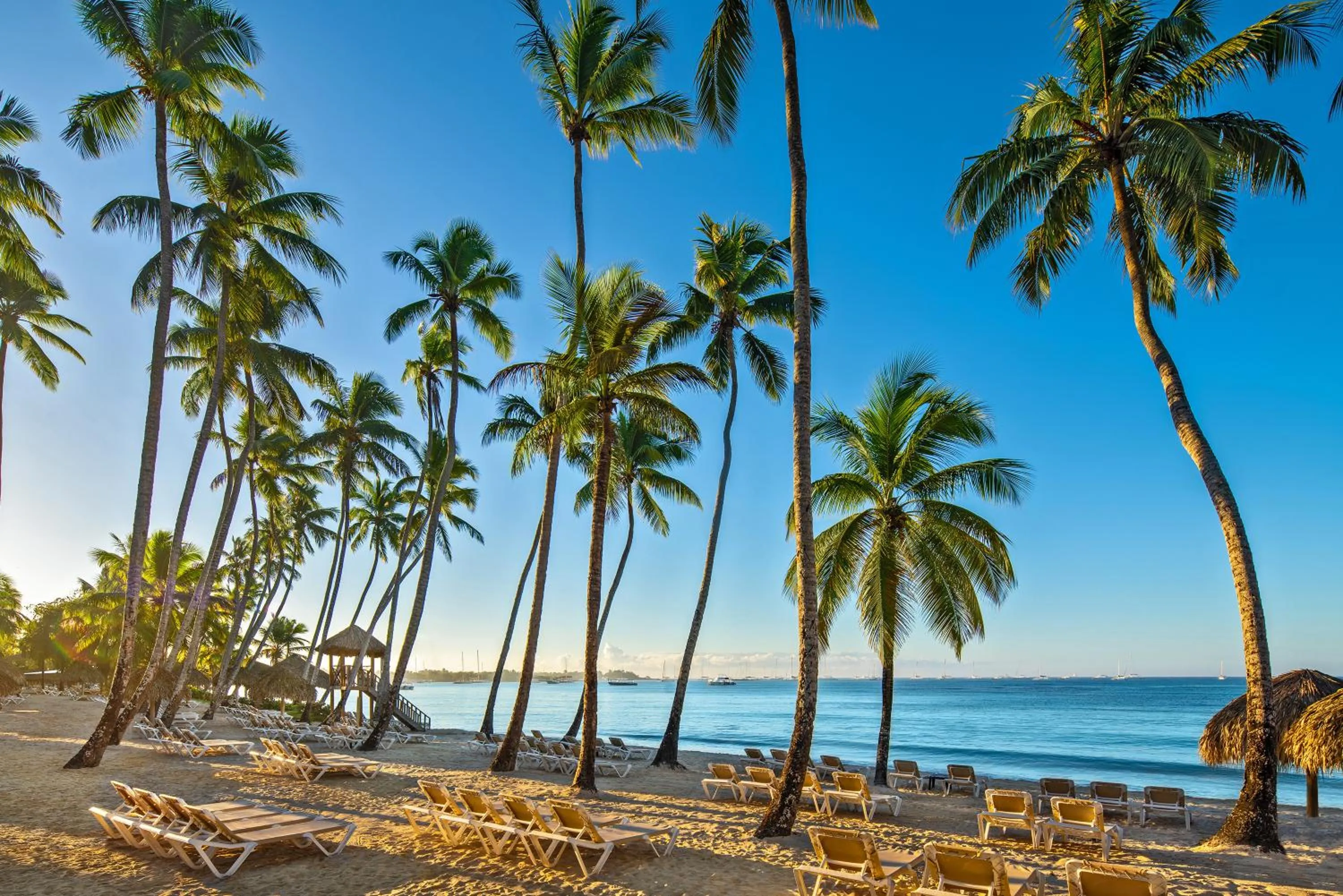 Beach in Hilton La Romana All-Inclusive Family Resort