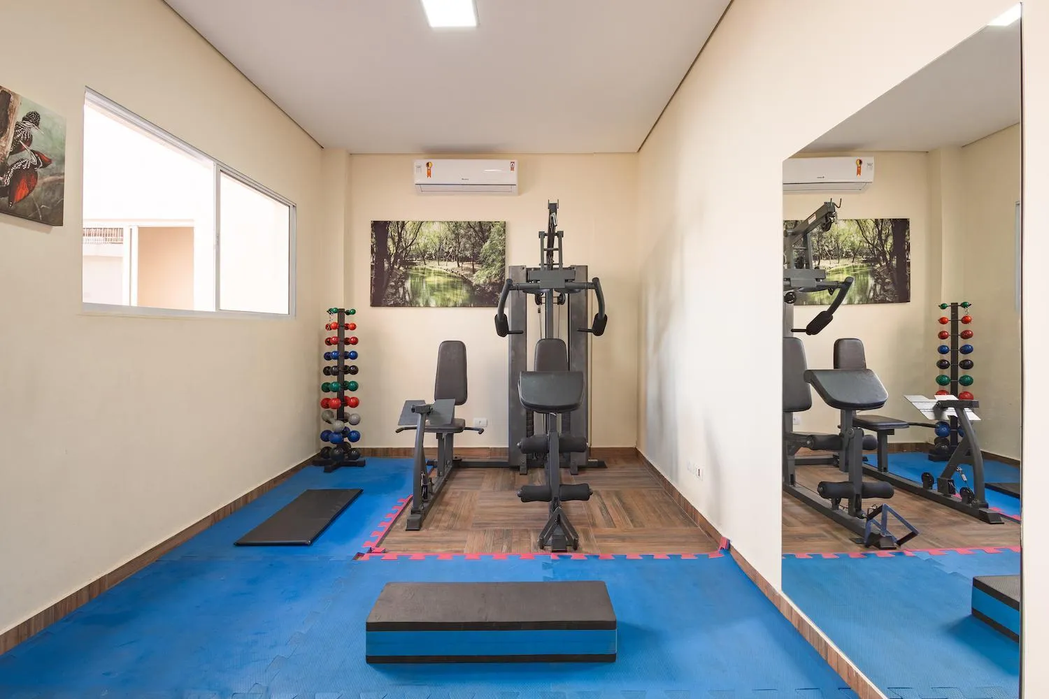 Fitness centre/facilities in Kaliman Pousada Campos do Jordão