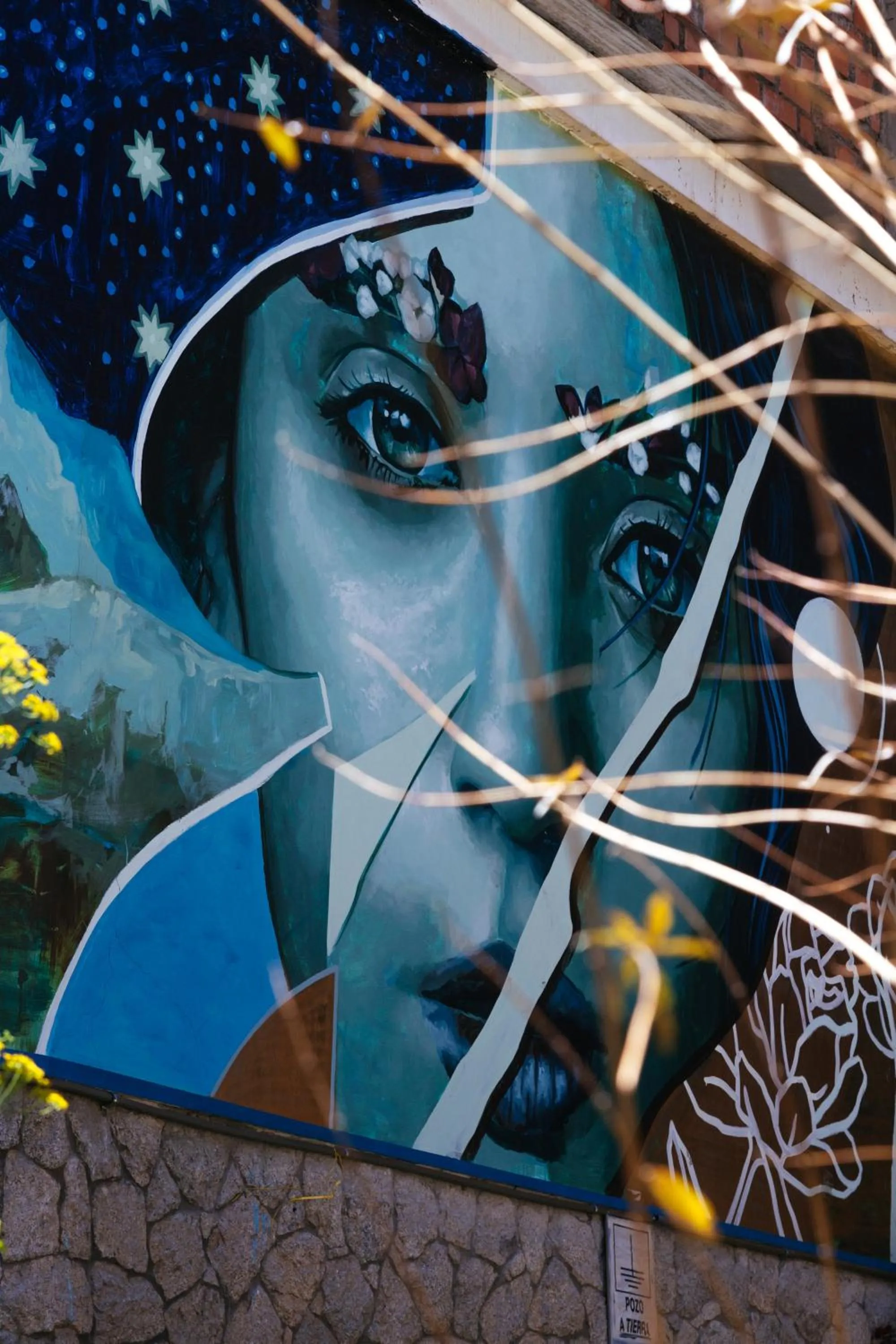 Decorative detail in Selina Huaraz