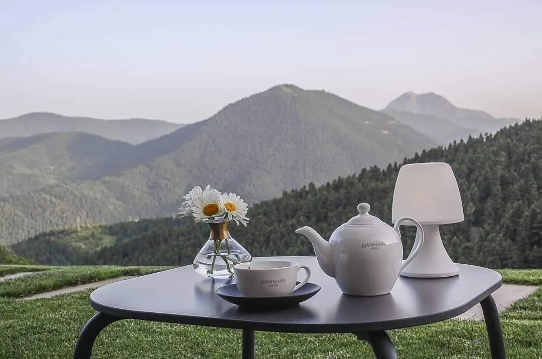 Lounge or bar in Escapade Luxury Residences