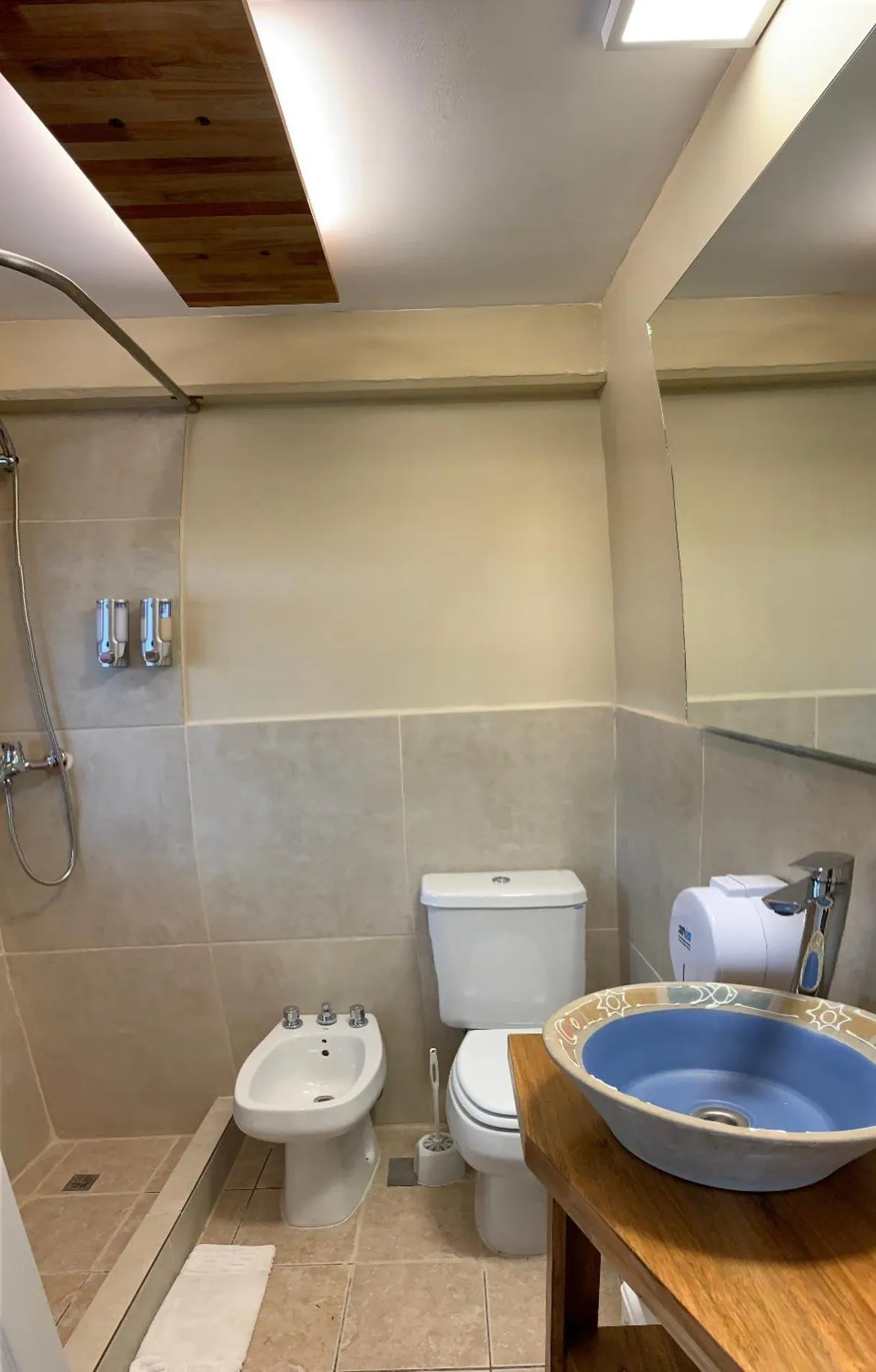 Shower in Del Glaciar Libertador Hotel