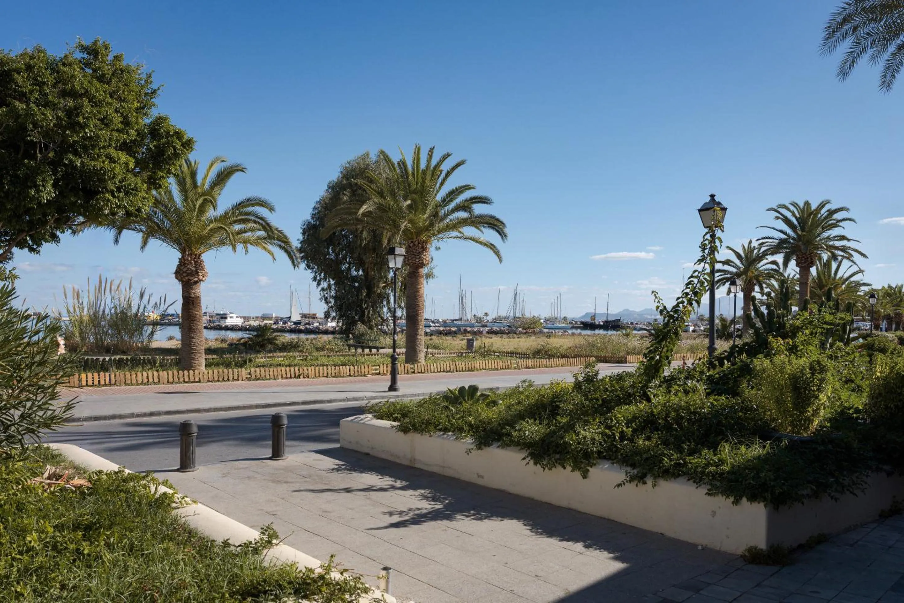 Natural landscape in Civitas Suites Hotel