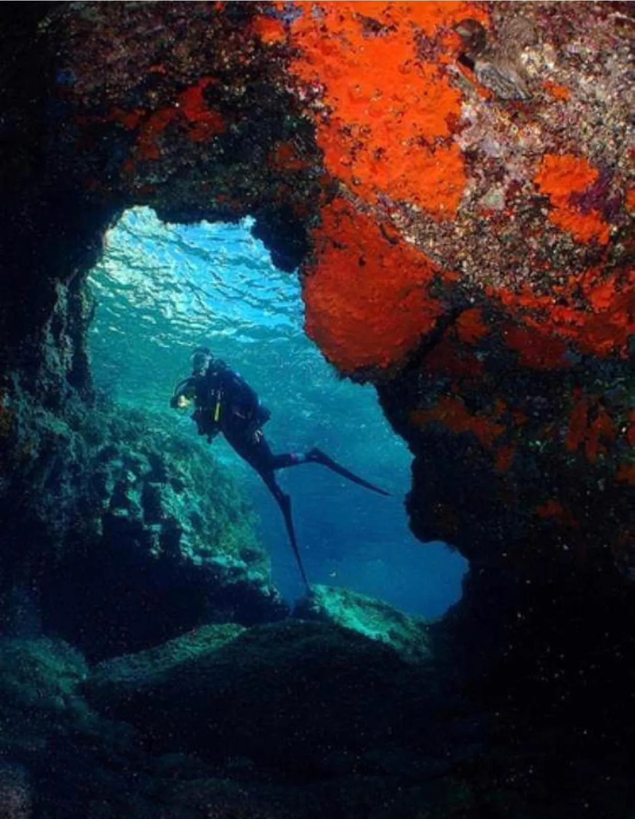 Diving in Dua Dua Beach Resort