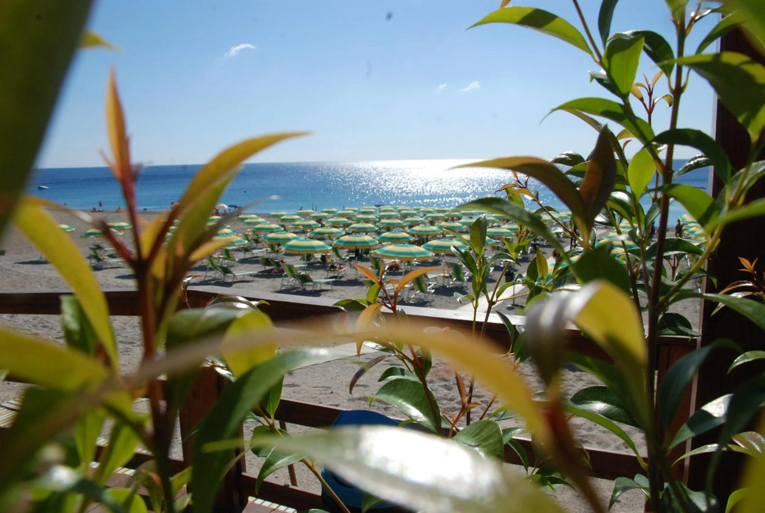 Beach in Park Hotel Mirabeau