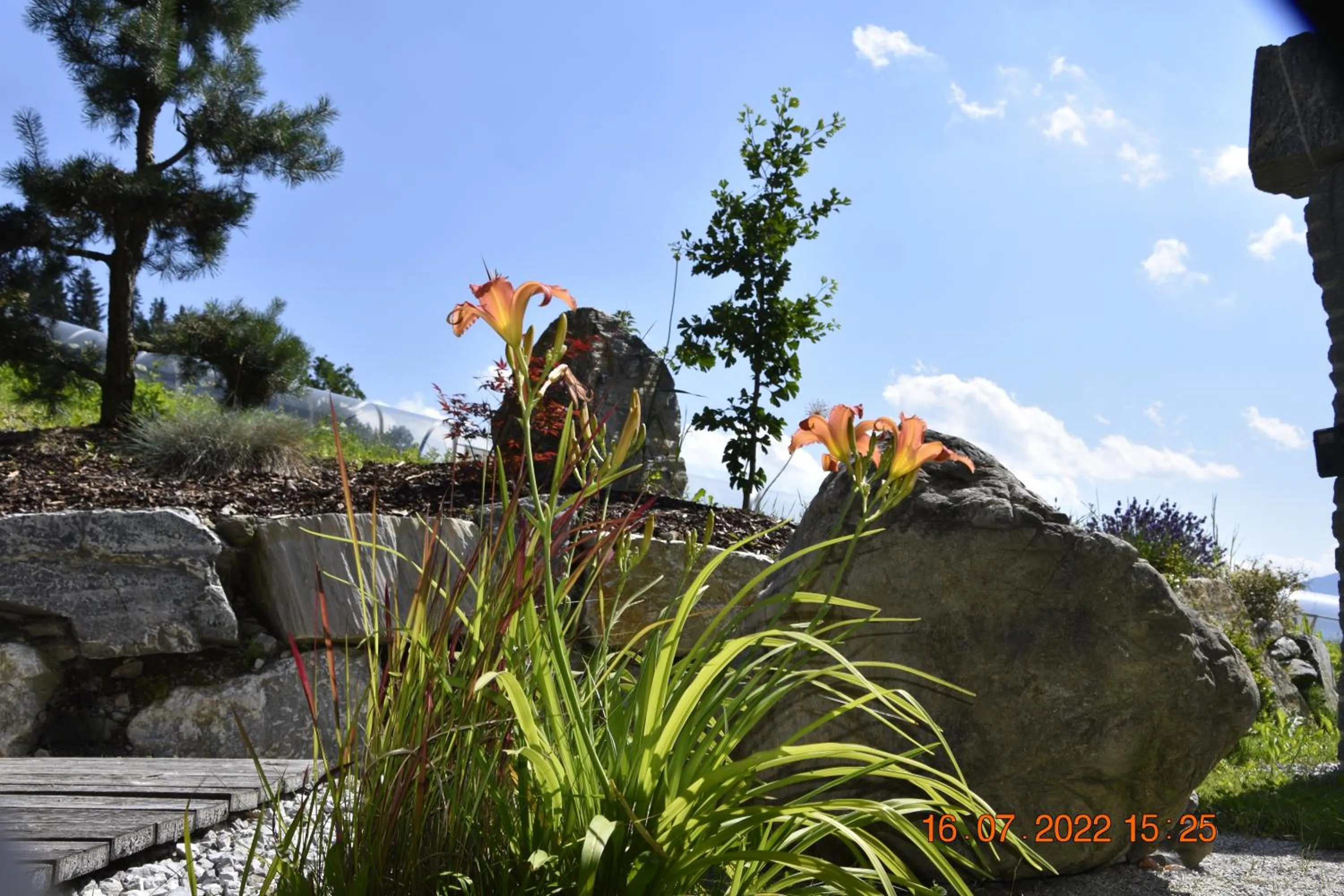 Garden in Landhotel Anna