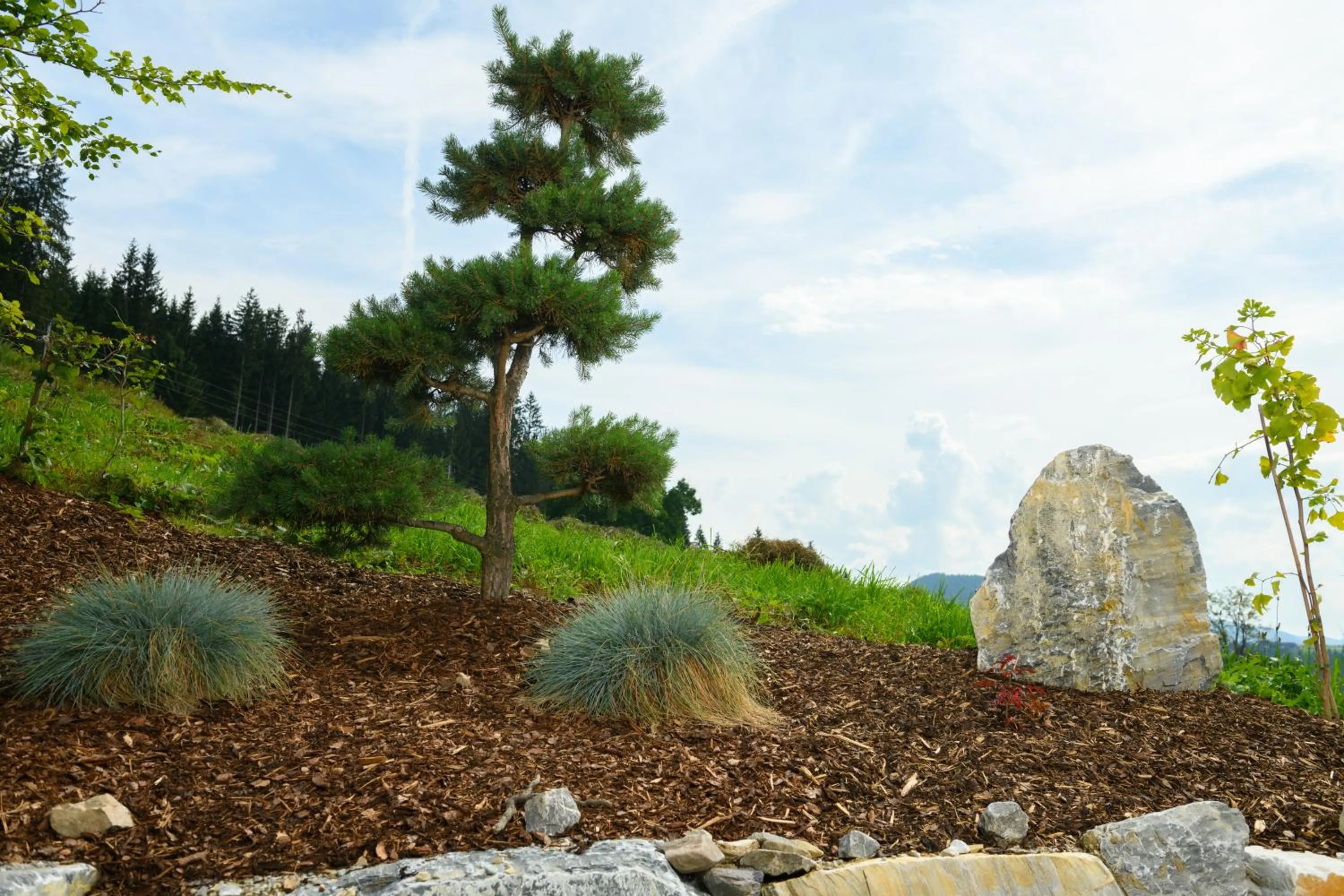 Garden in Landhotel Anna