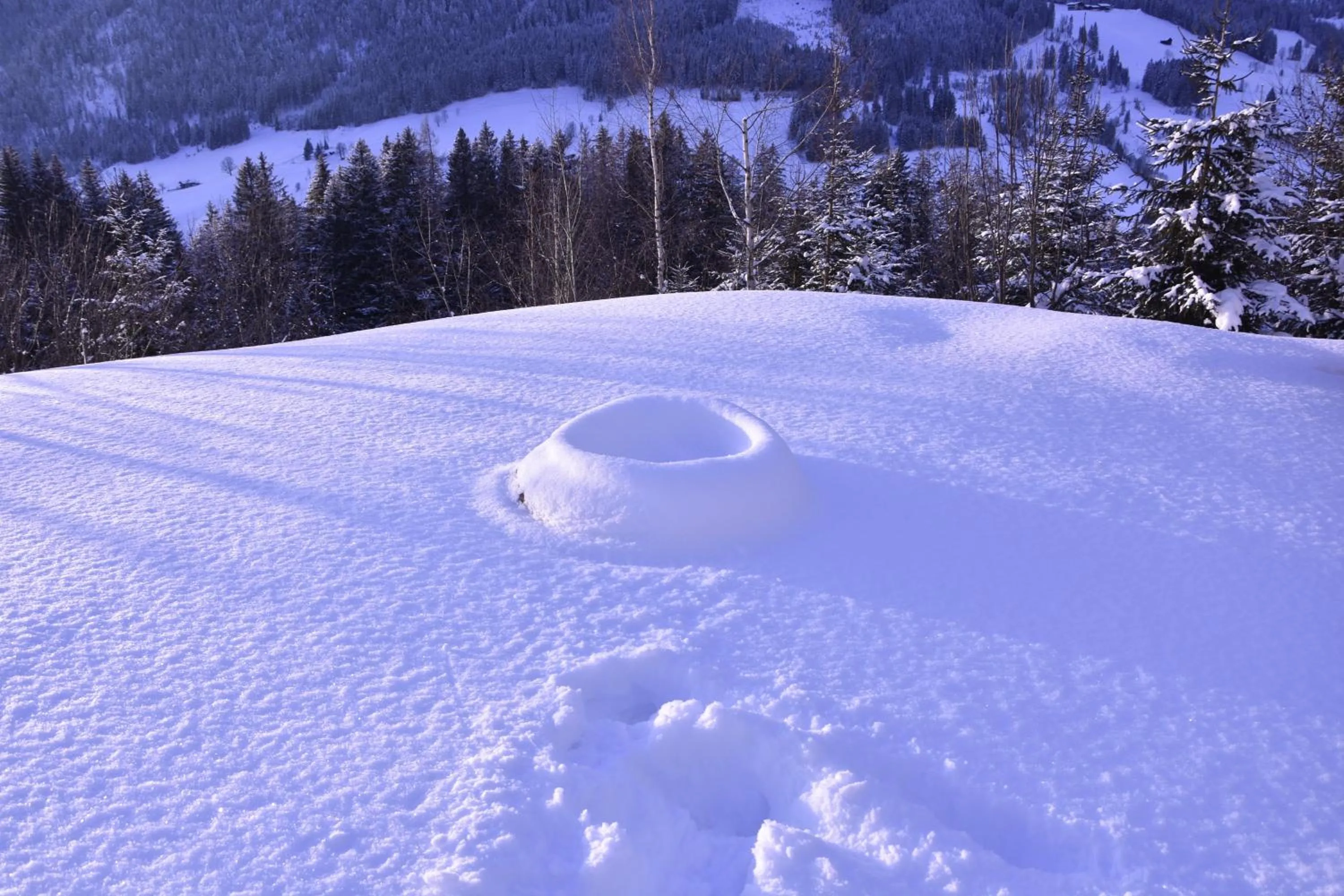 Natural landscape in Landhotel Anna