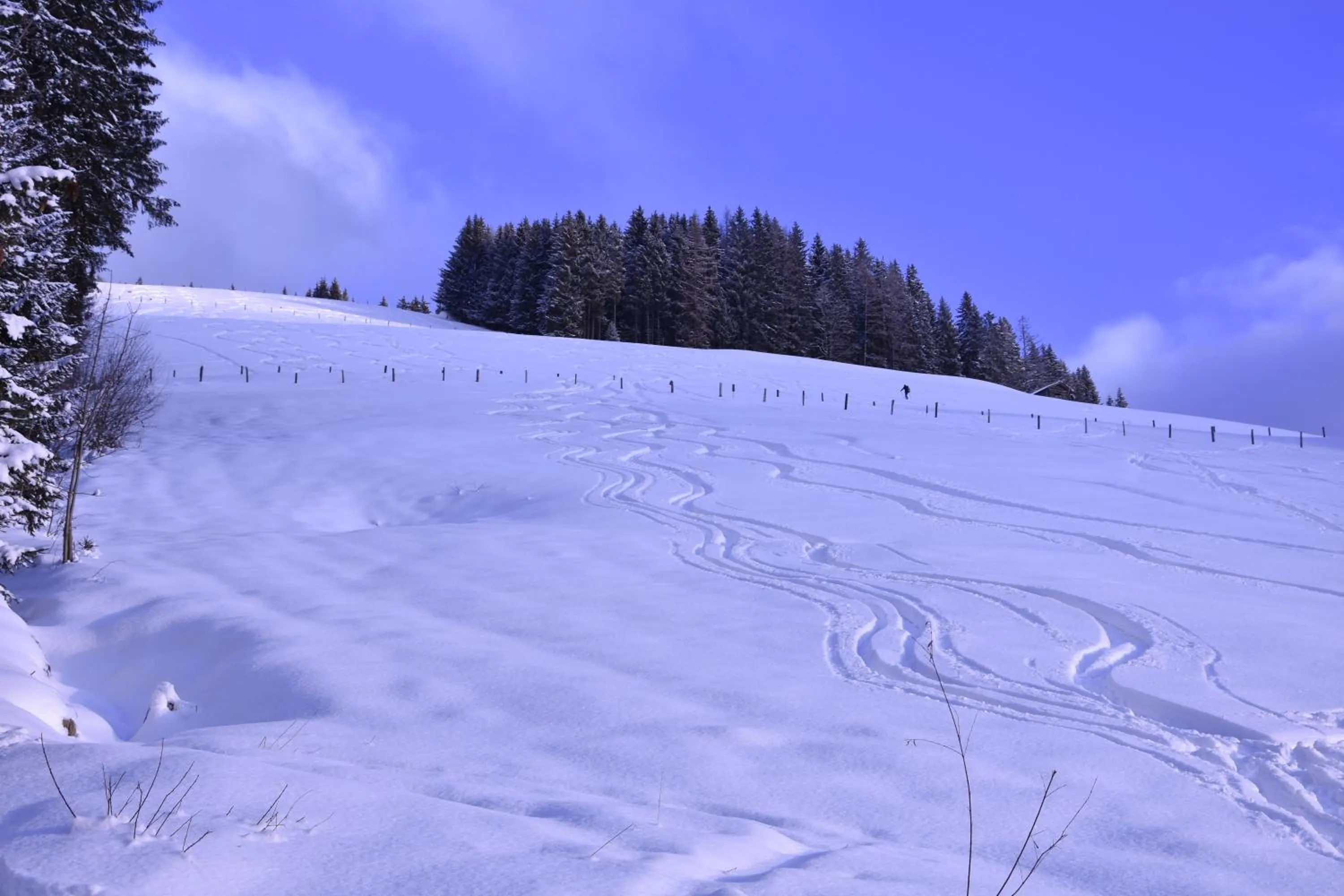 Winter in Landhotel Anna