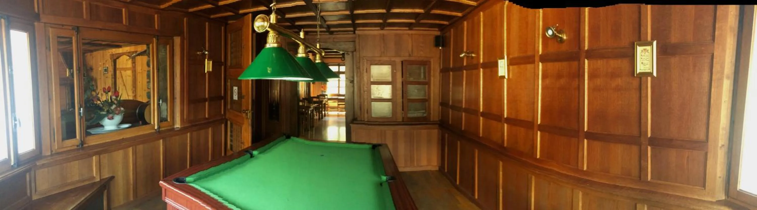 Billiard in Hotel Le Concorde