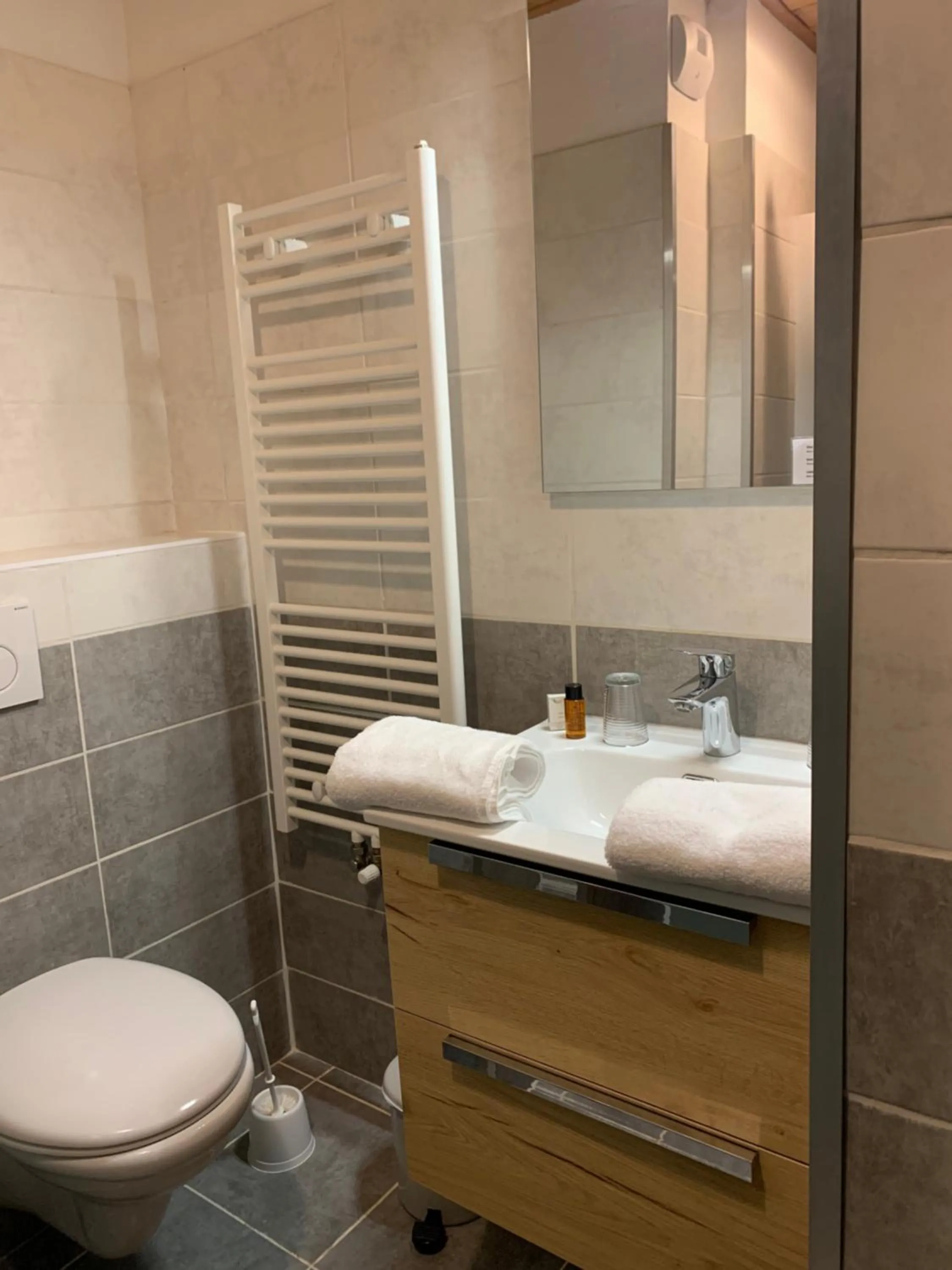 Toilet in Hotel Le Concorde