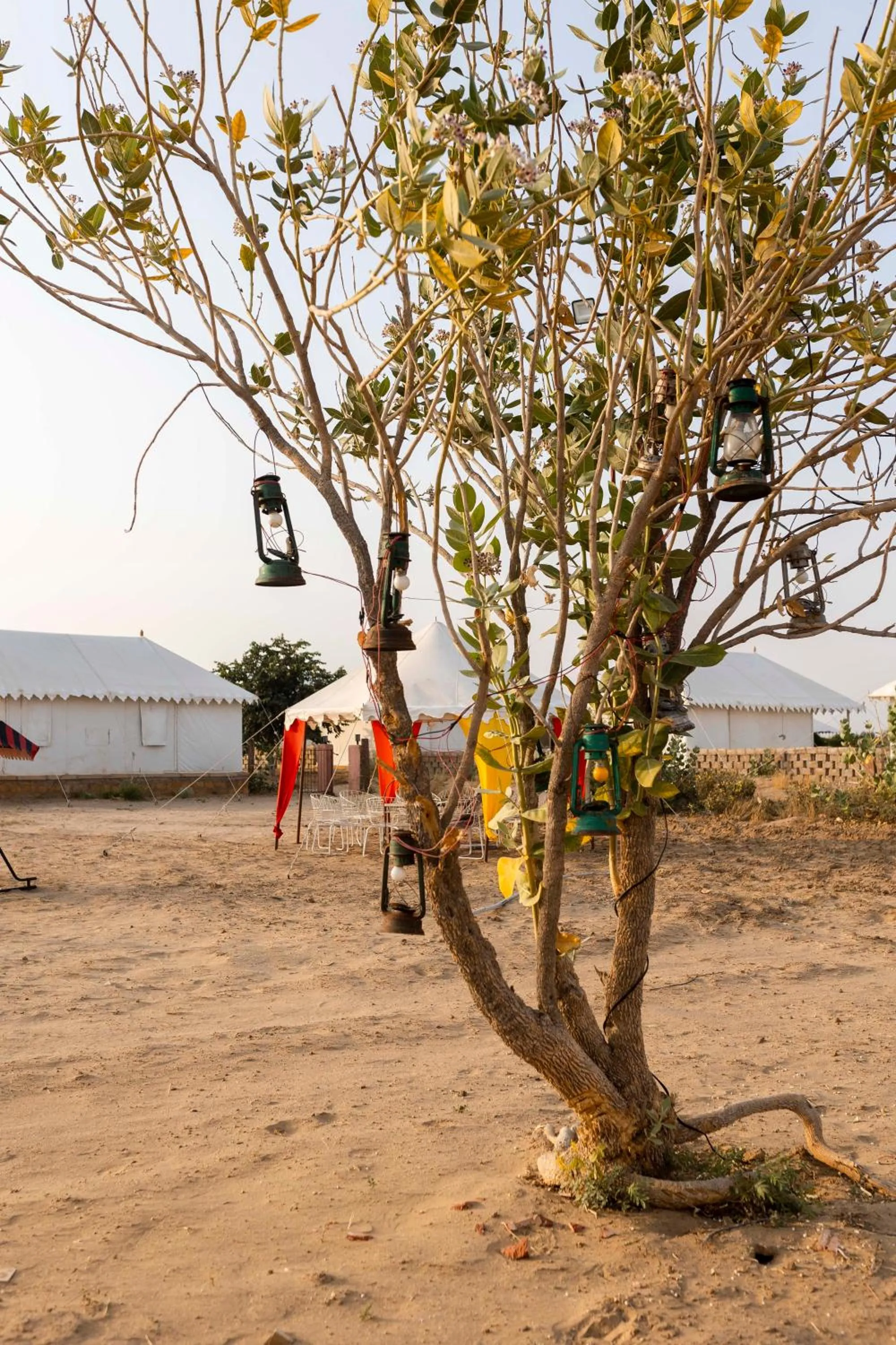Nomads heaven desert camp jaisalmer
