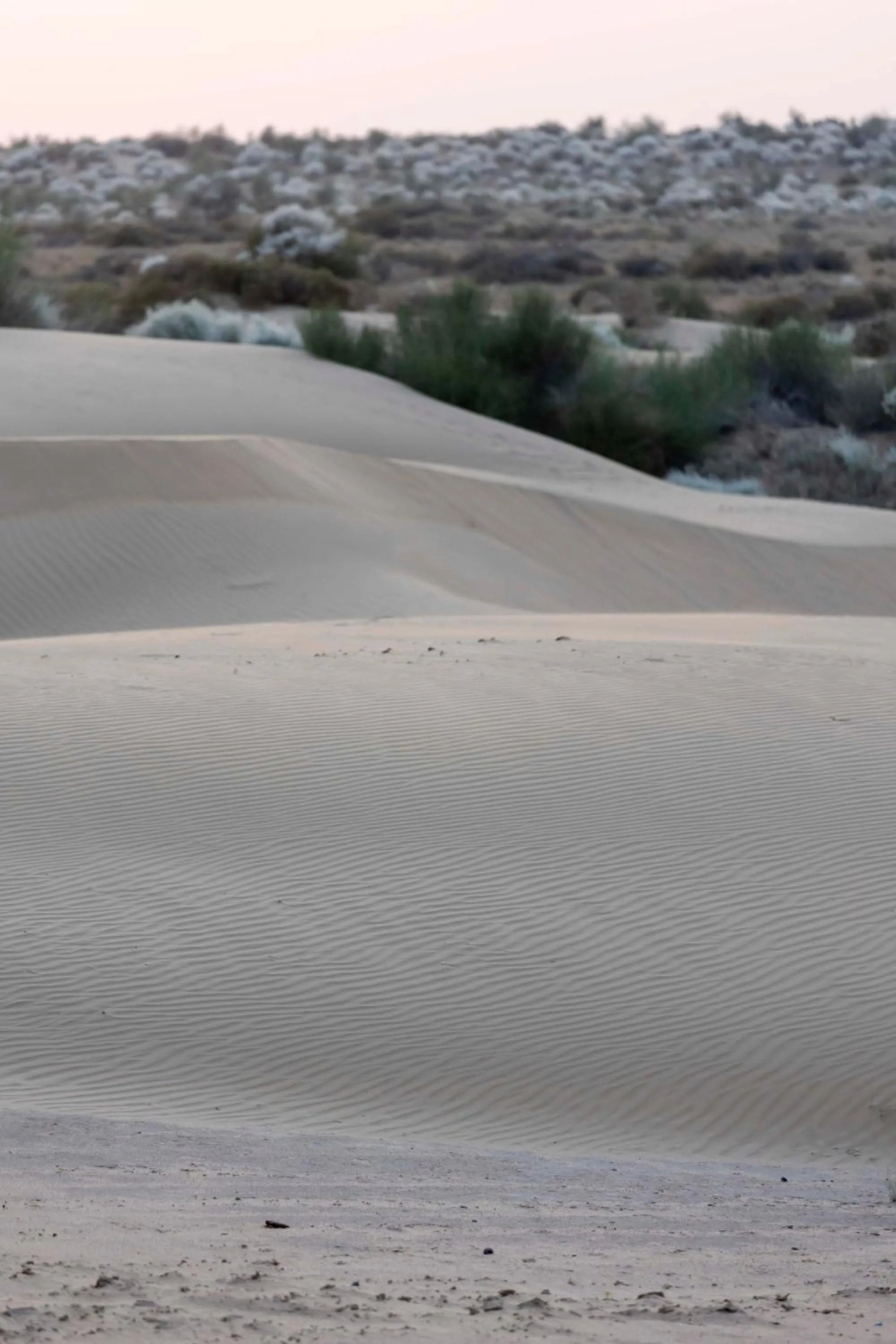 Nomads heaven desert camp jaisalmer