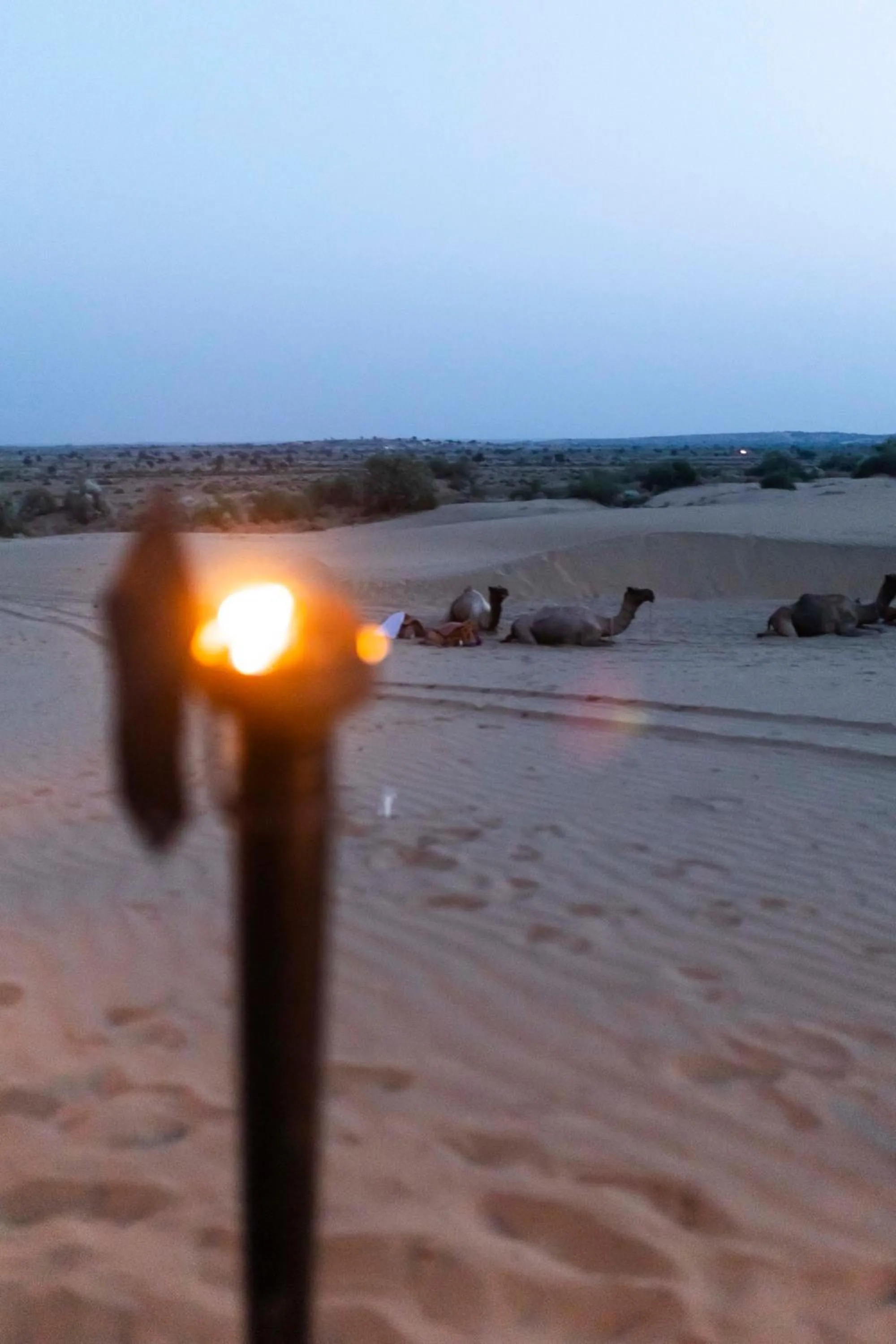 Nomads heaven desert camp jaisalmer