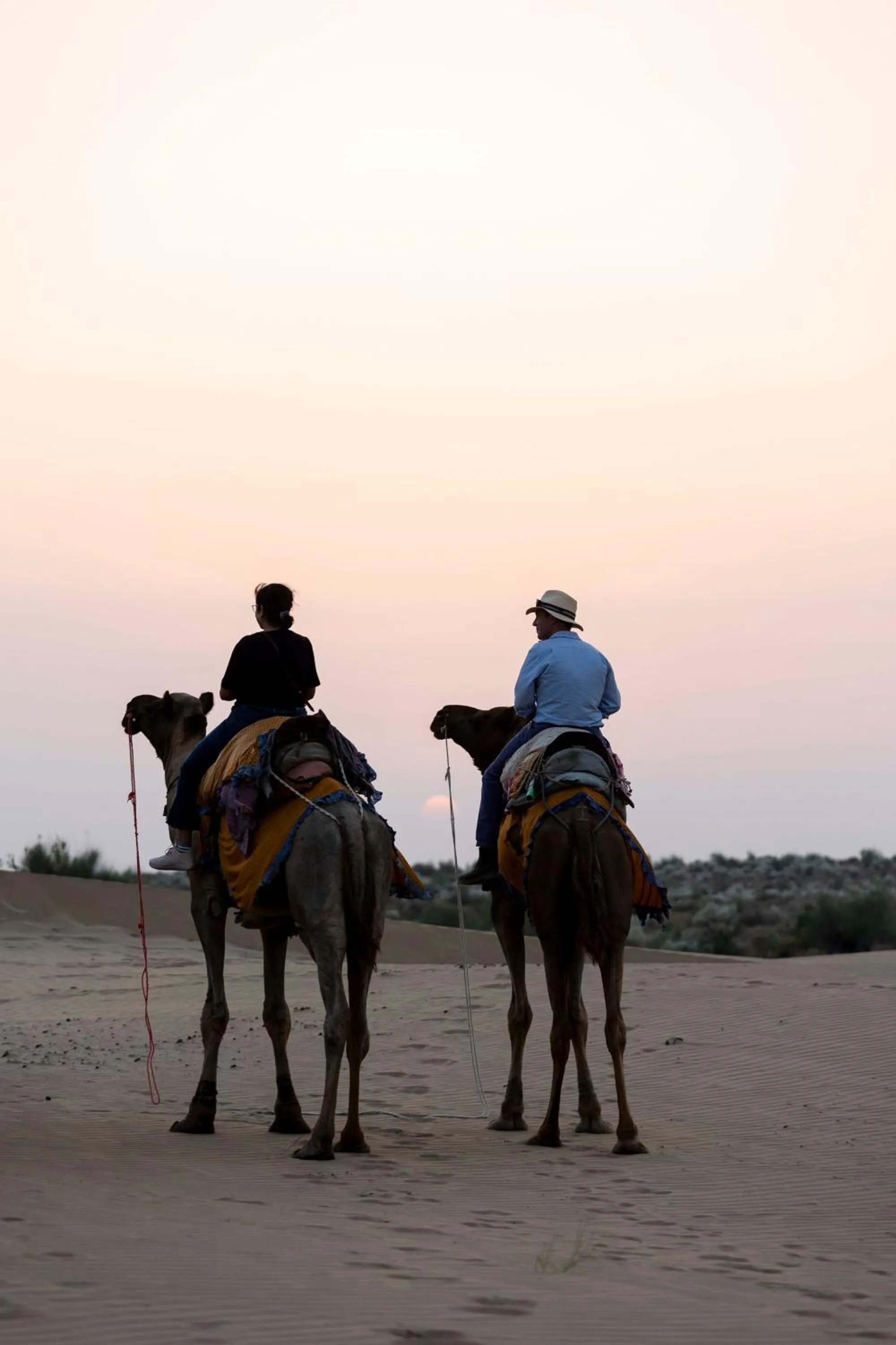 Natural landscape in Nomads heaven desert camp jaisalmer