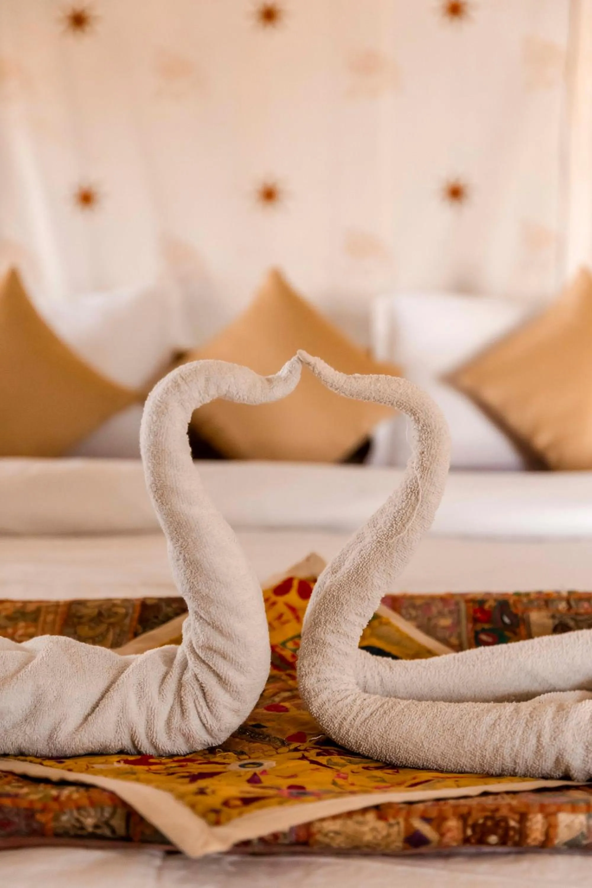 Bed in Nomads heaven desert camp jaisalmer