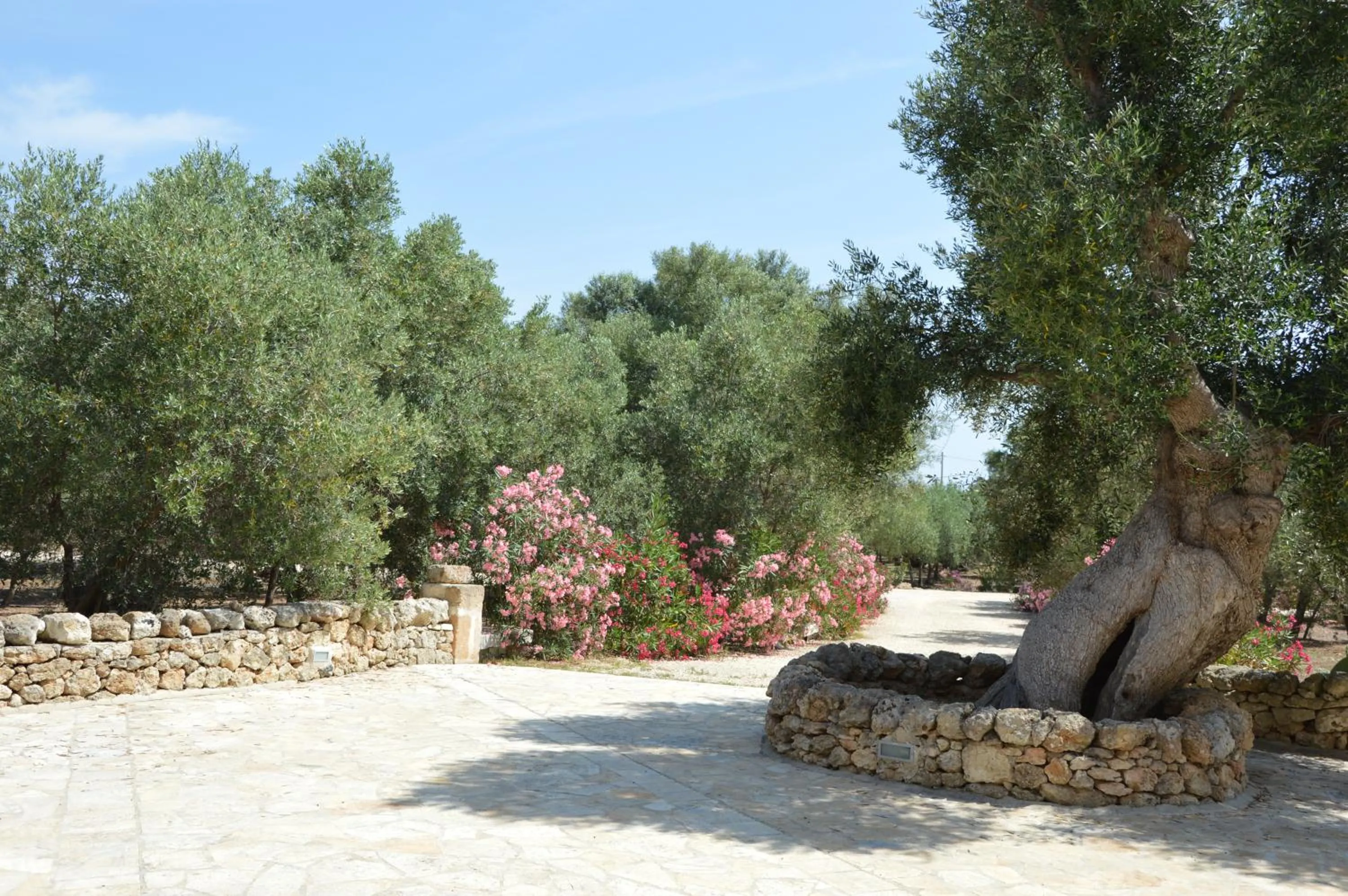 Spring in Agriturismo Masseria San Leonardo