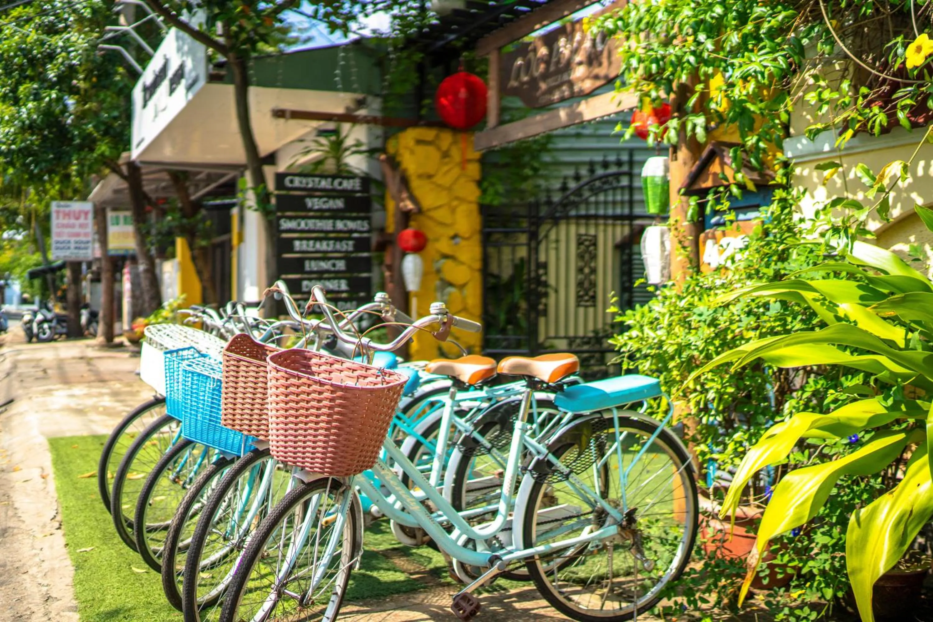 Cycling in Loc Phat Hoi An Homestay