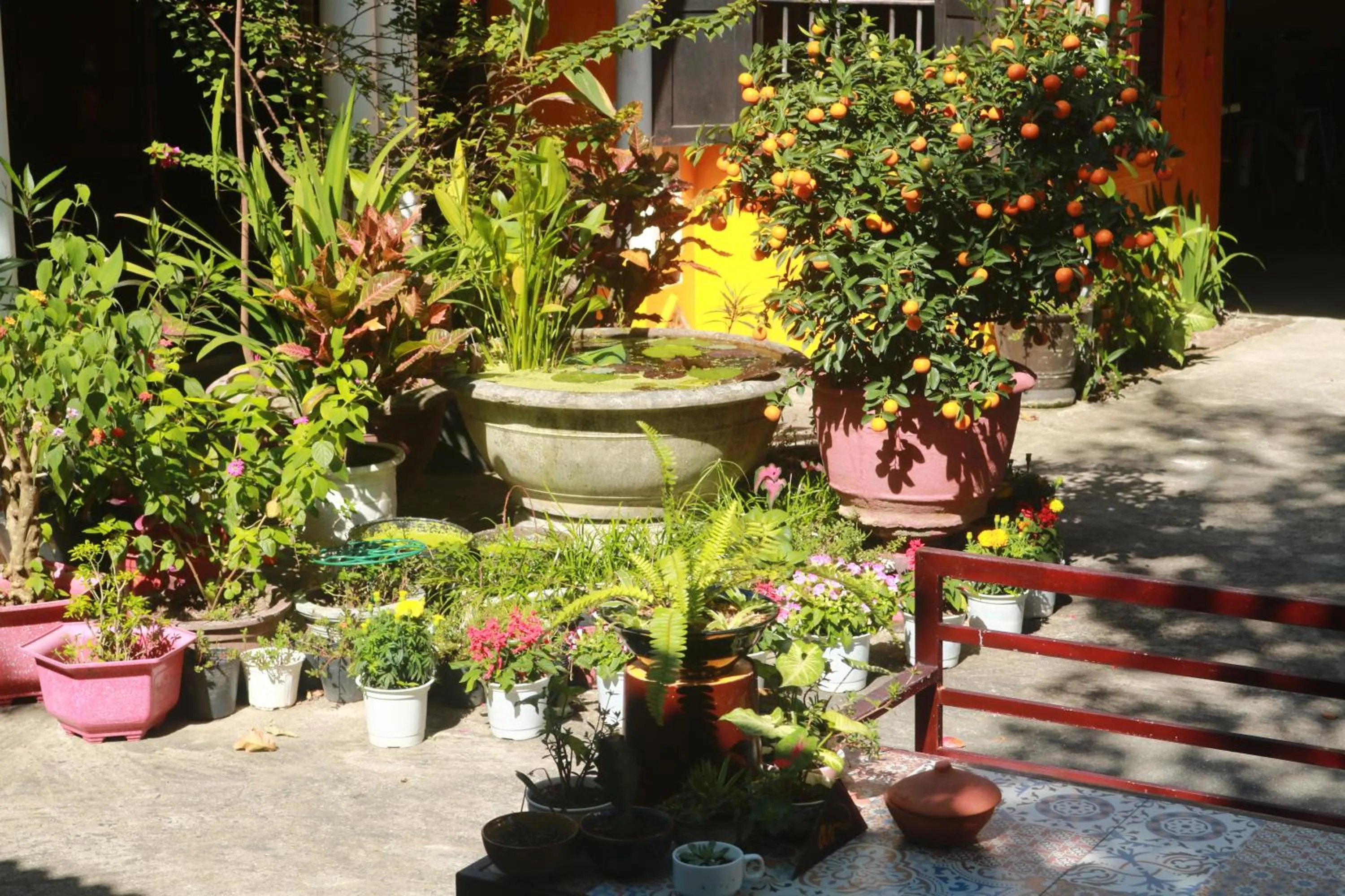 Property building in Loc Phat Hoi An Homestay