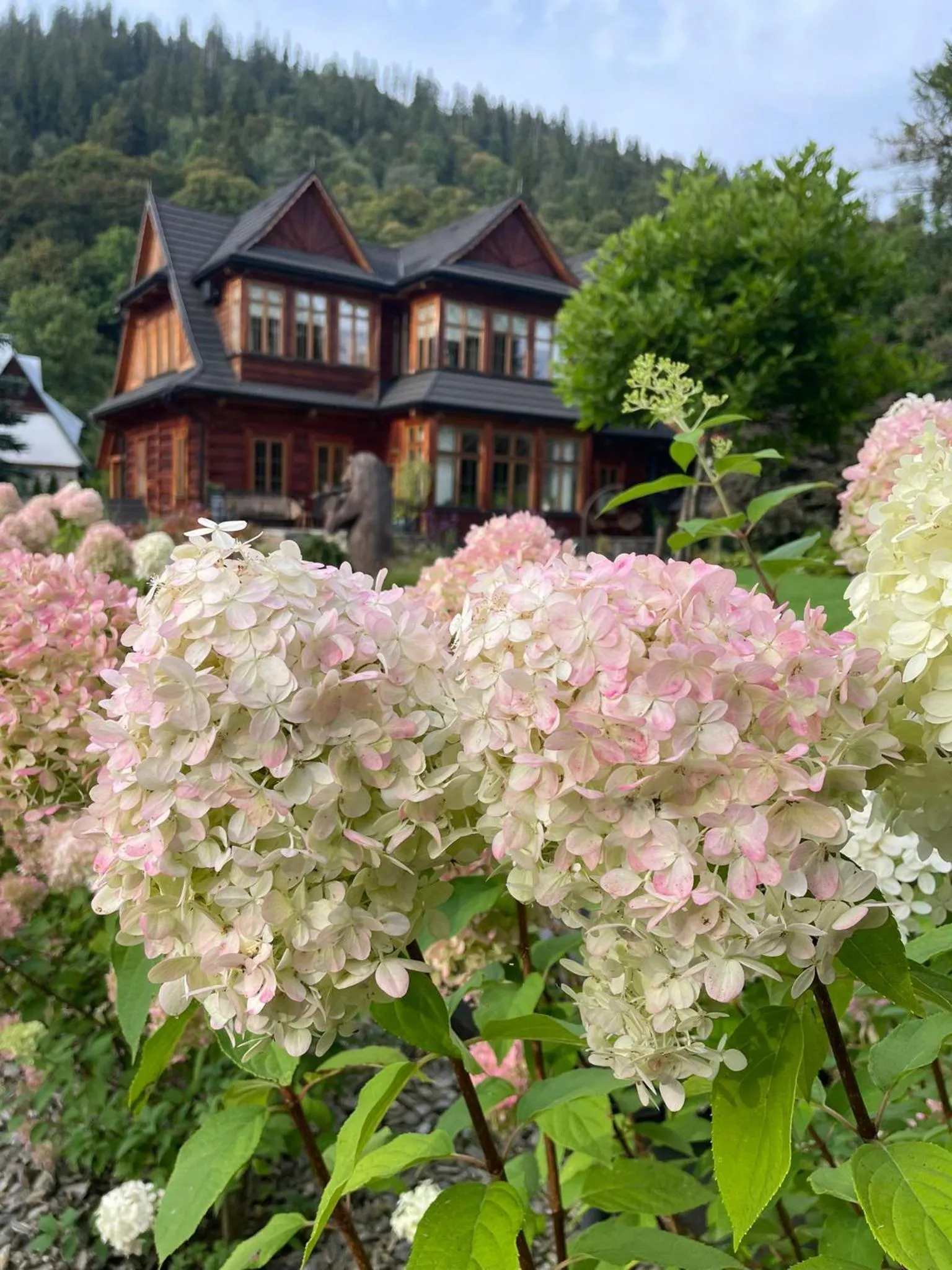 Property building in Niedźwiedzia Residence Garden Sauna