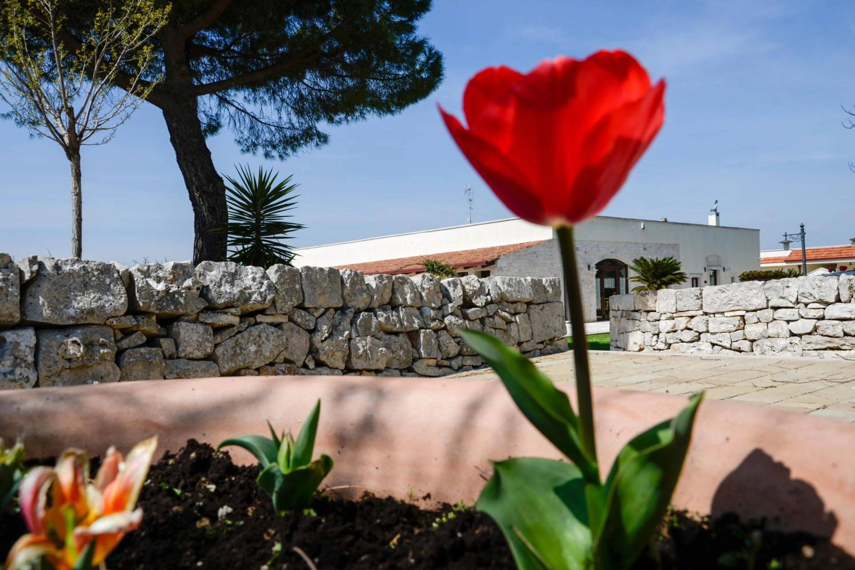 Facade/entrance in Masseria Gravelle