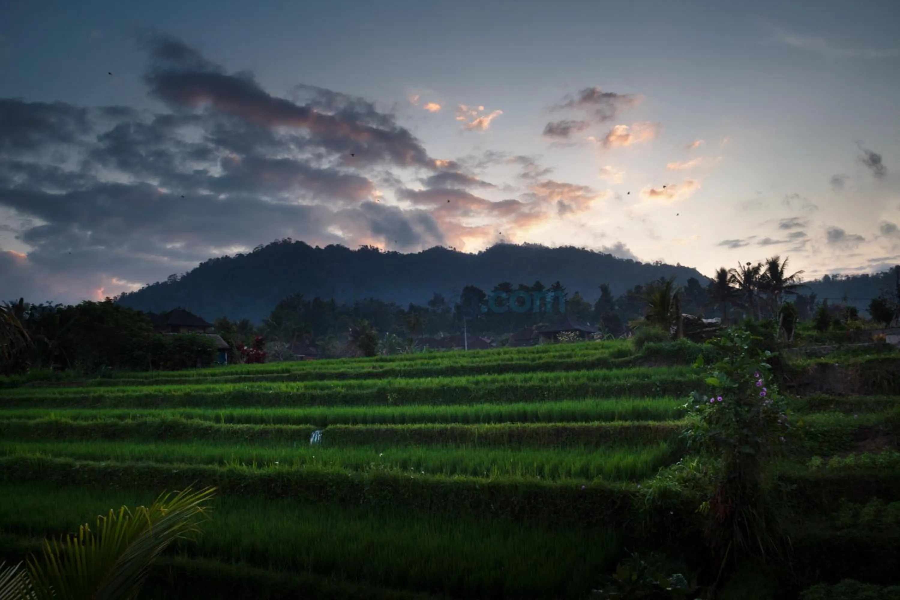 Landmark view in The Kanjeng Signature Sidemen